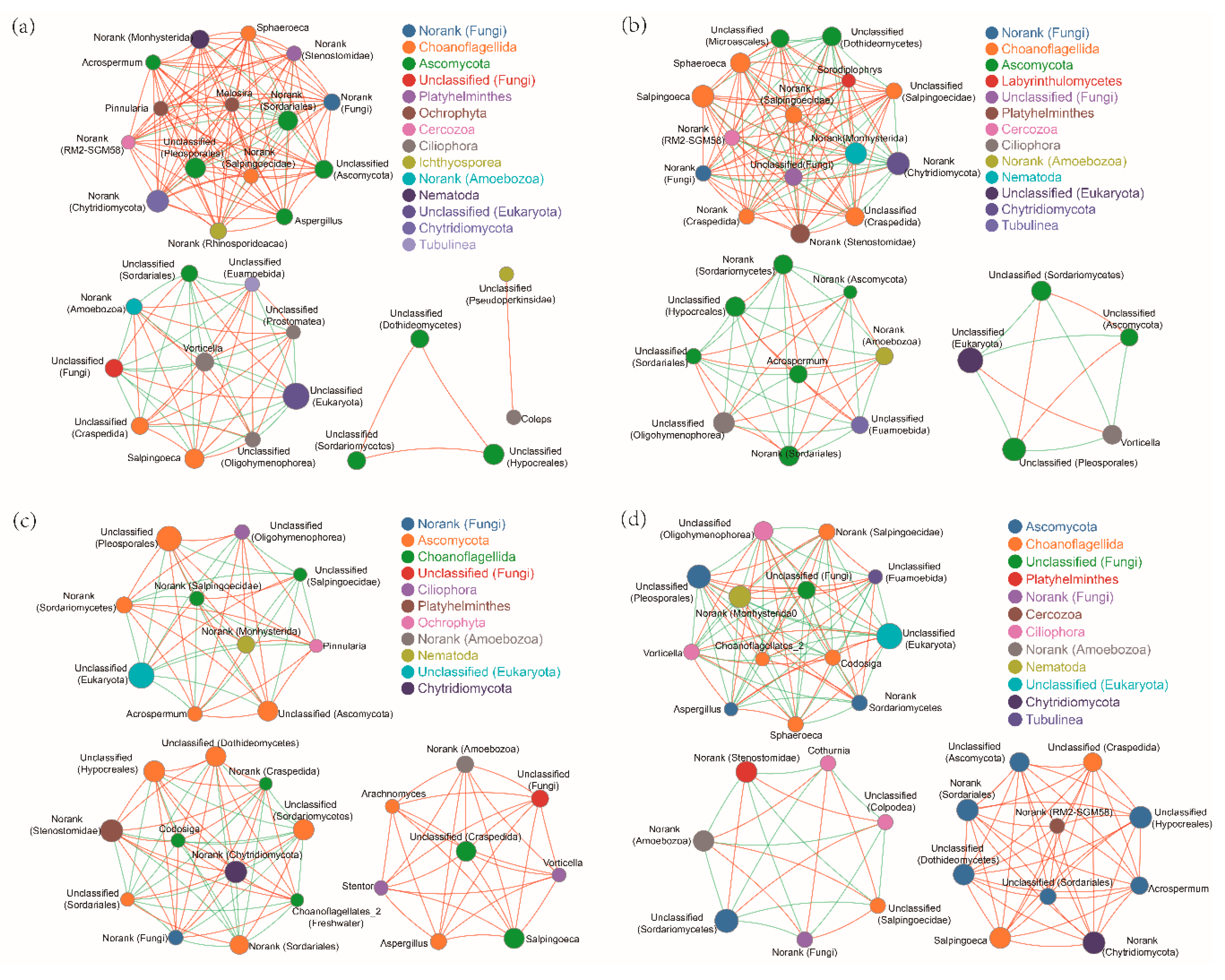 Ijms 20 01343 g004 Ijms 20 01343 g004