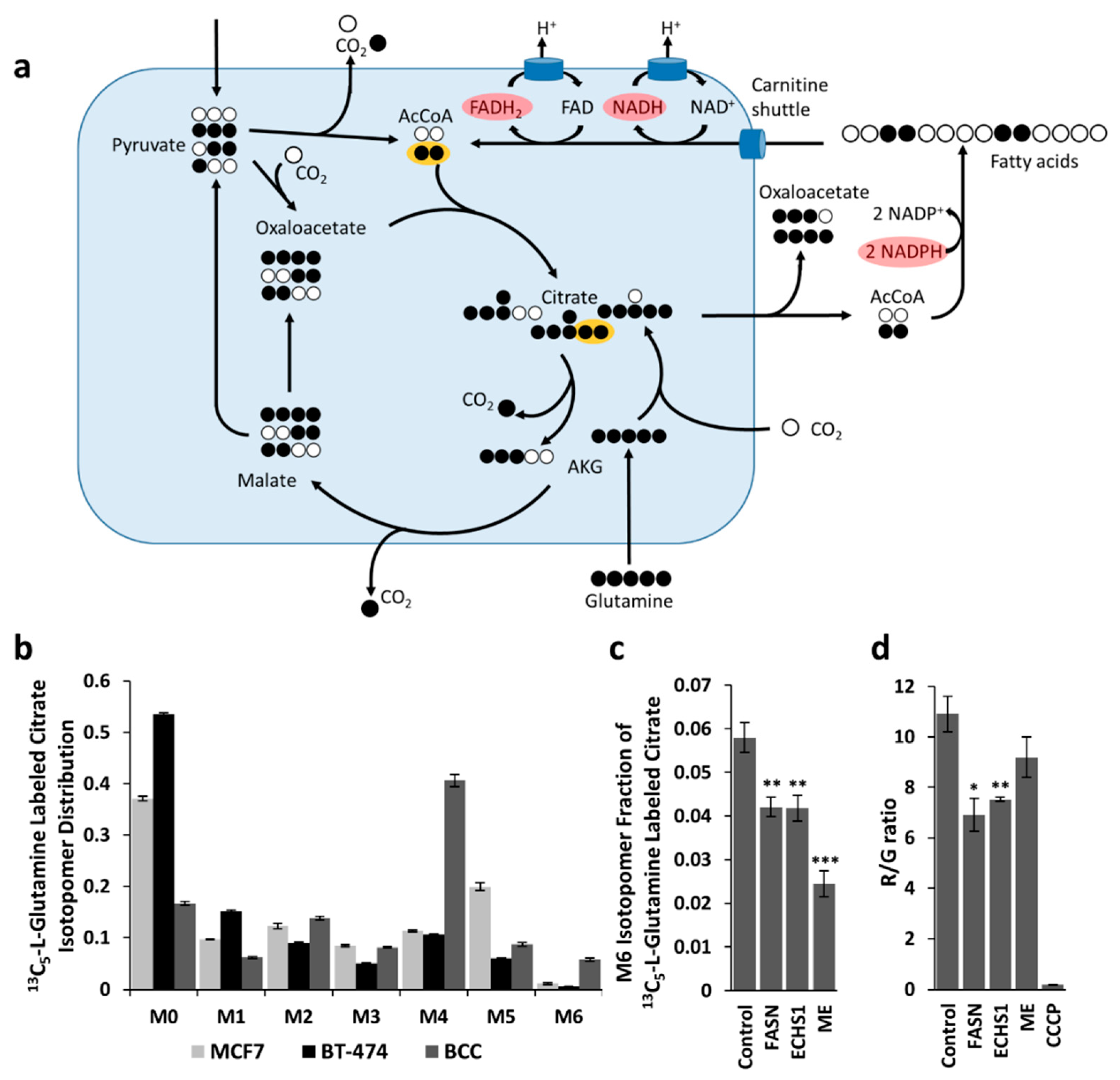 Ijms 20 01348 g001 Ijms 20 01348 g001