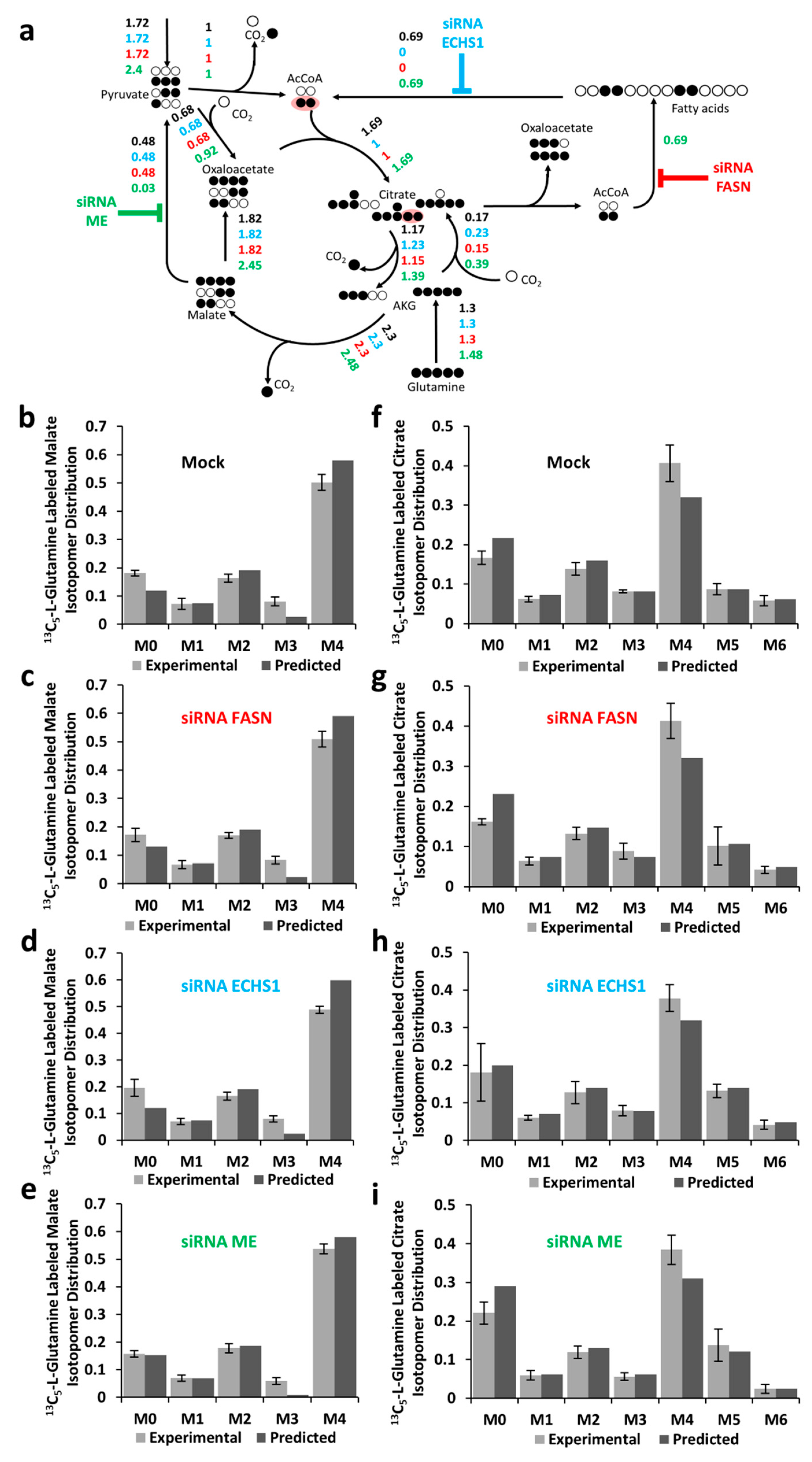 Ijms 20 01348 g002 Ijms 20 01348 g002