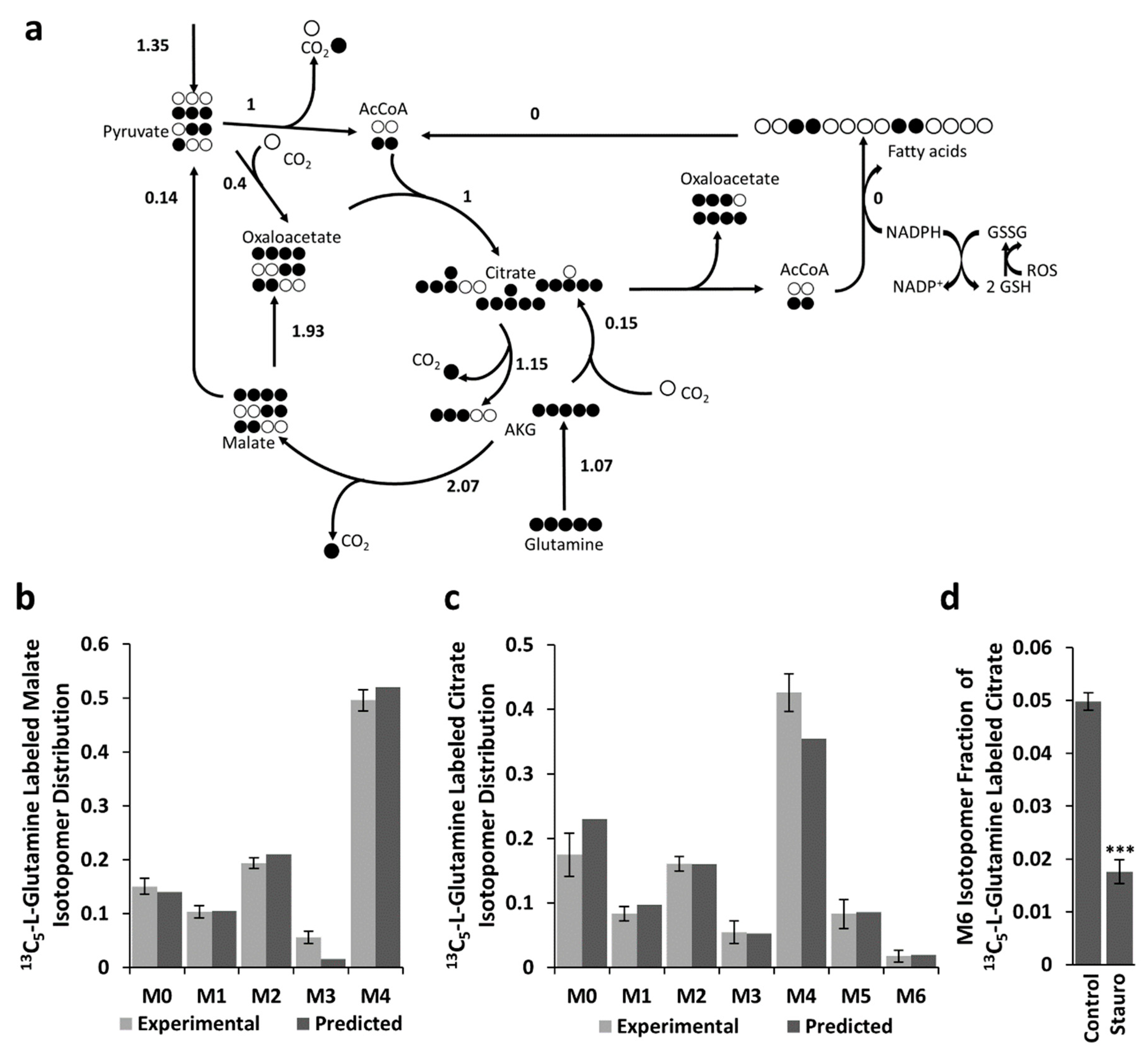 Ijms 20 01348 g003 Ijms 20 01348 g003