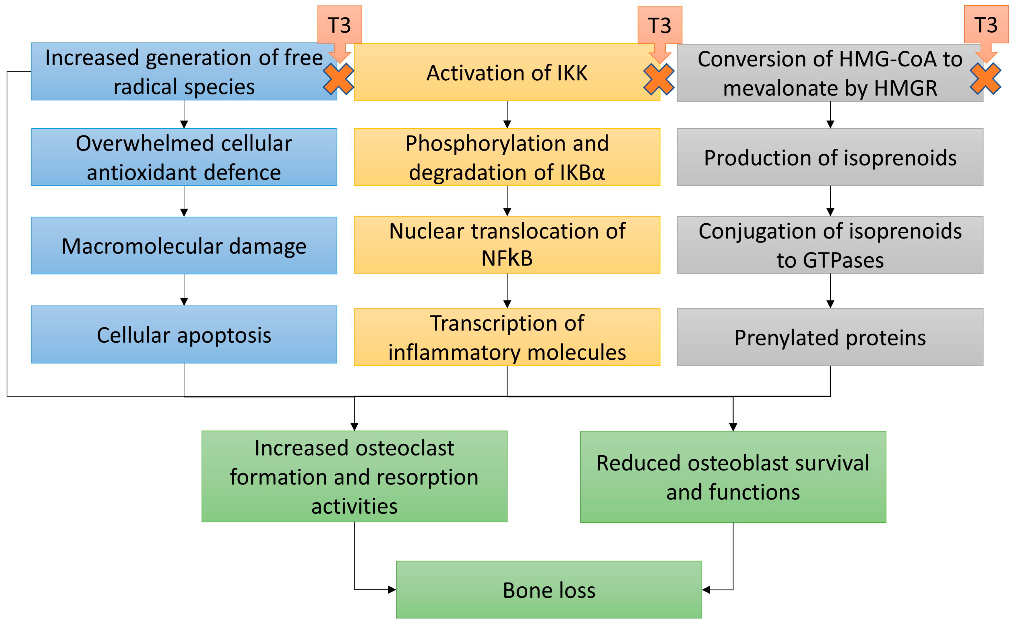 Ijms 20 01355 g002 Ijms 20 01355 g002