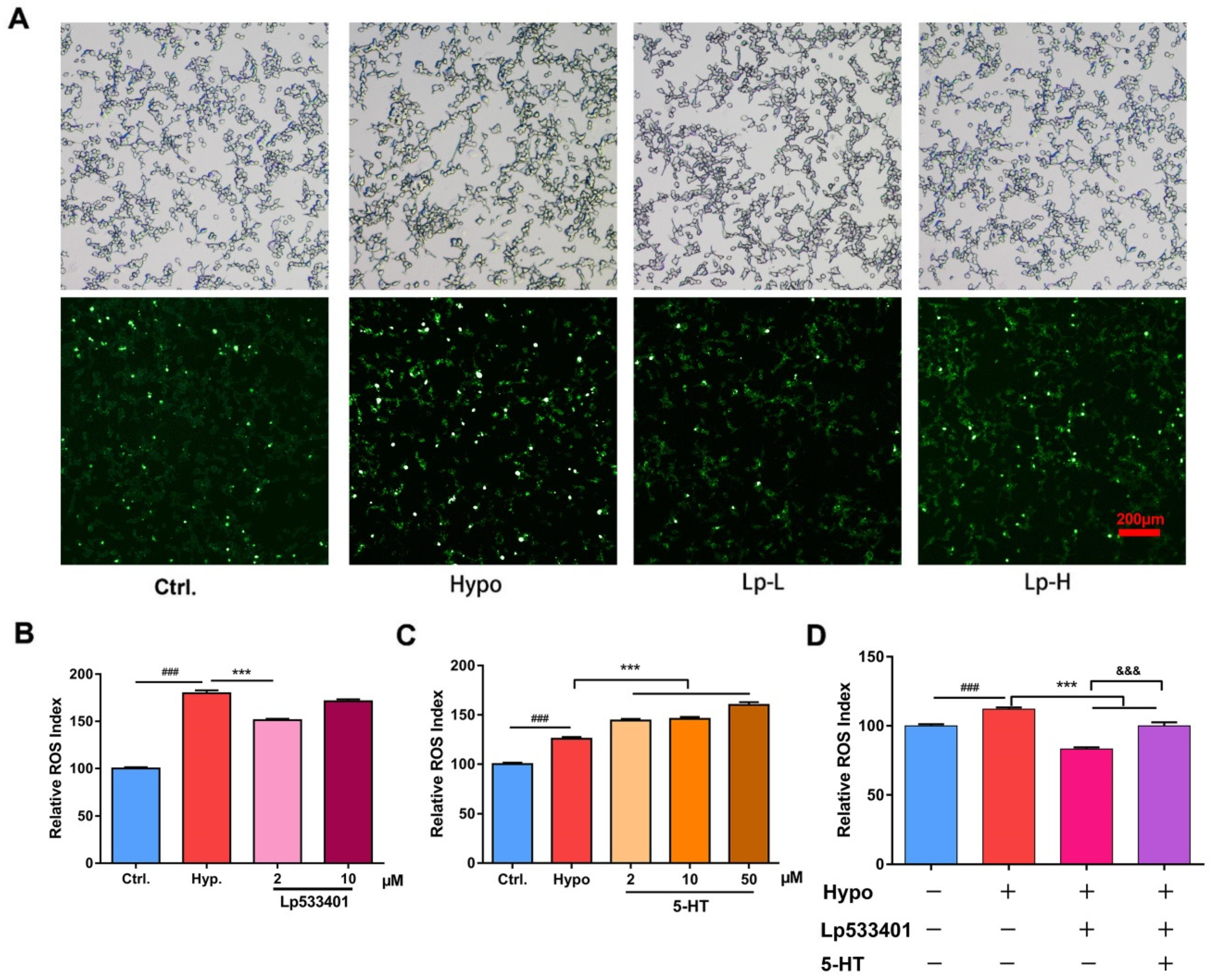 Ijms 20 01364 g004