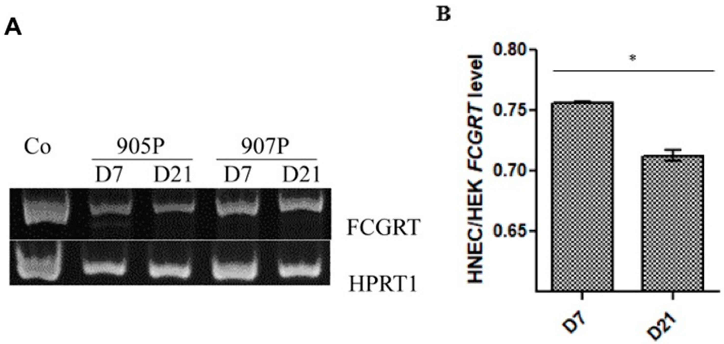 Ijms 20 01379 g002 Ijms 20 01379 g002