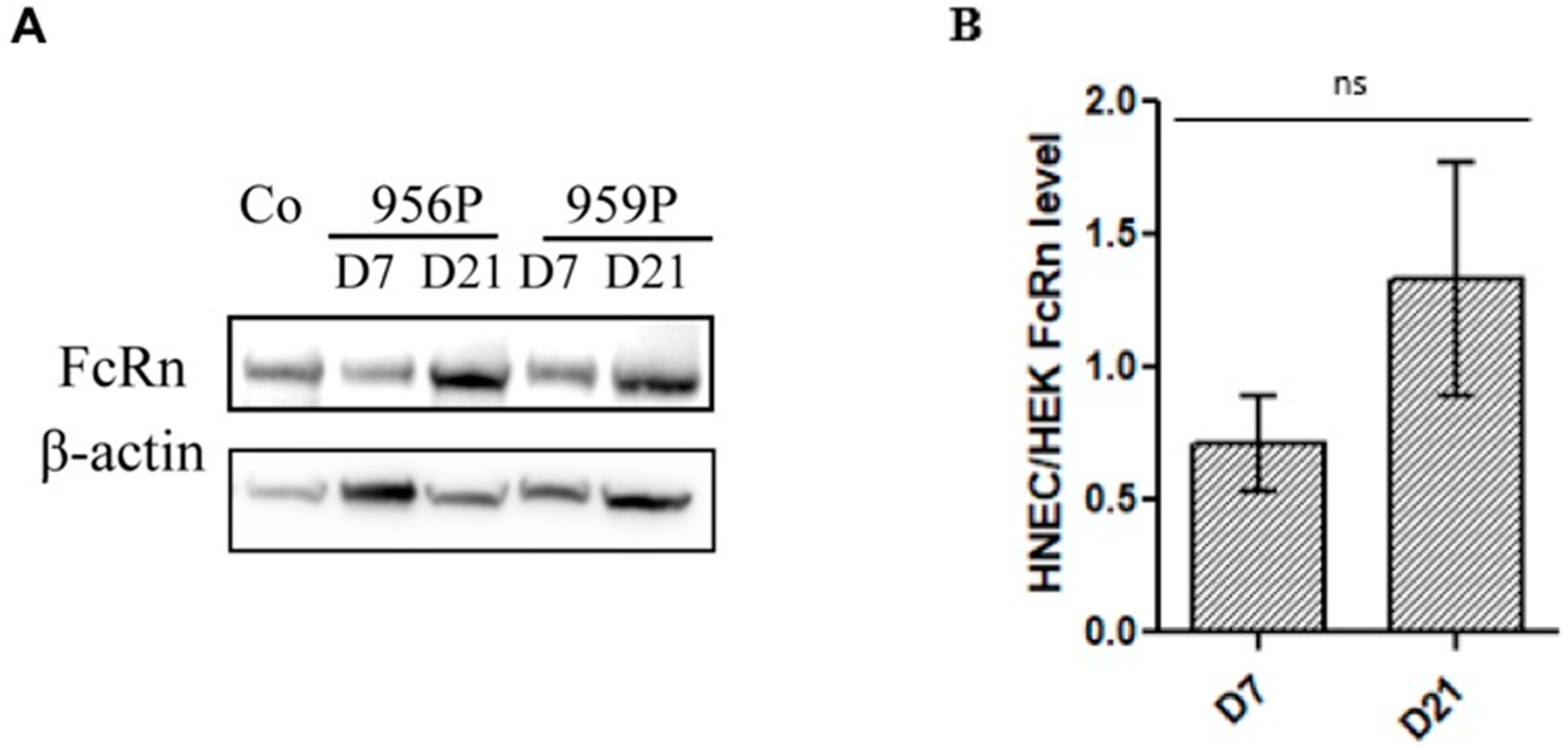 Ijms 20 01379 g003 Ijms 20 01379 g003