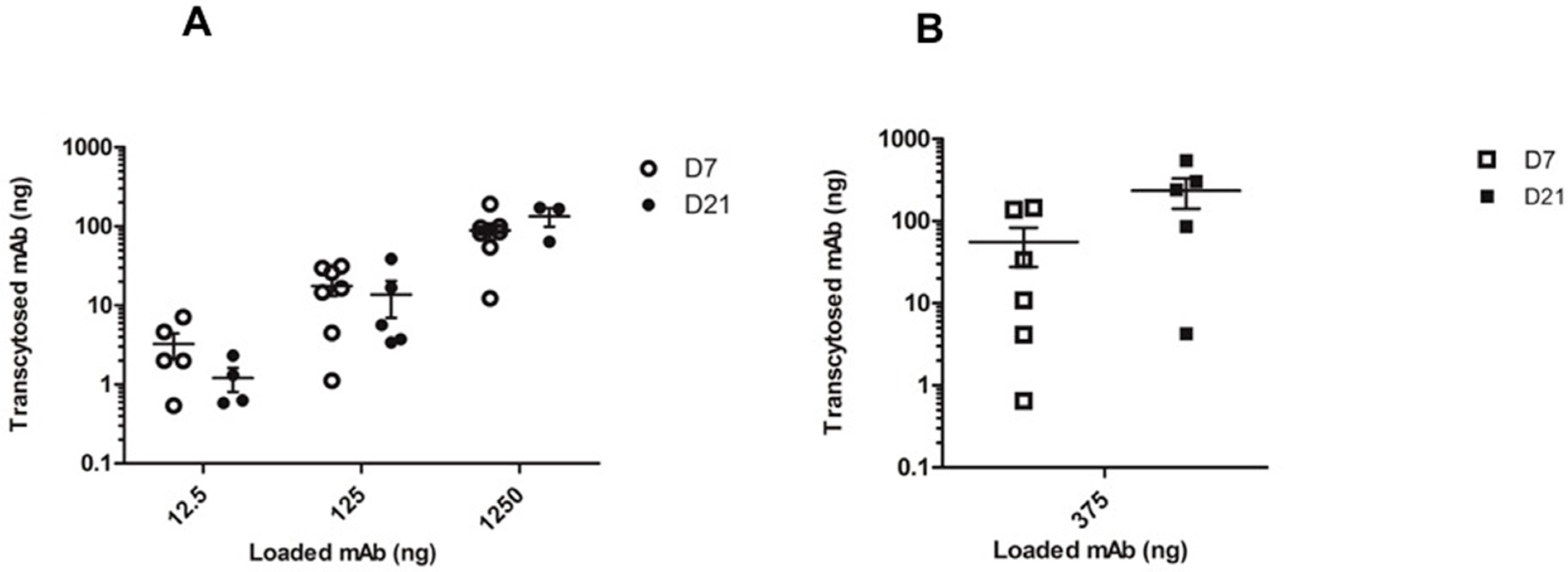 Ijms 20 01379 g005 Ijms 20 01379 g005