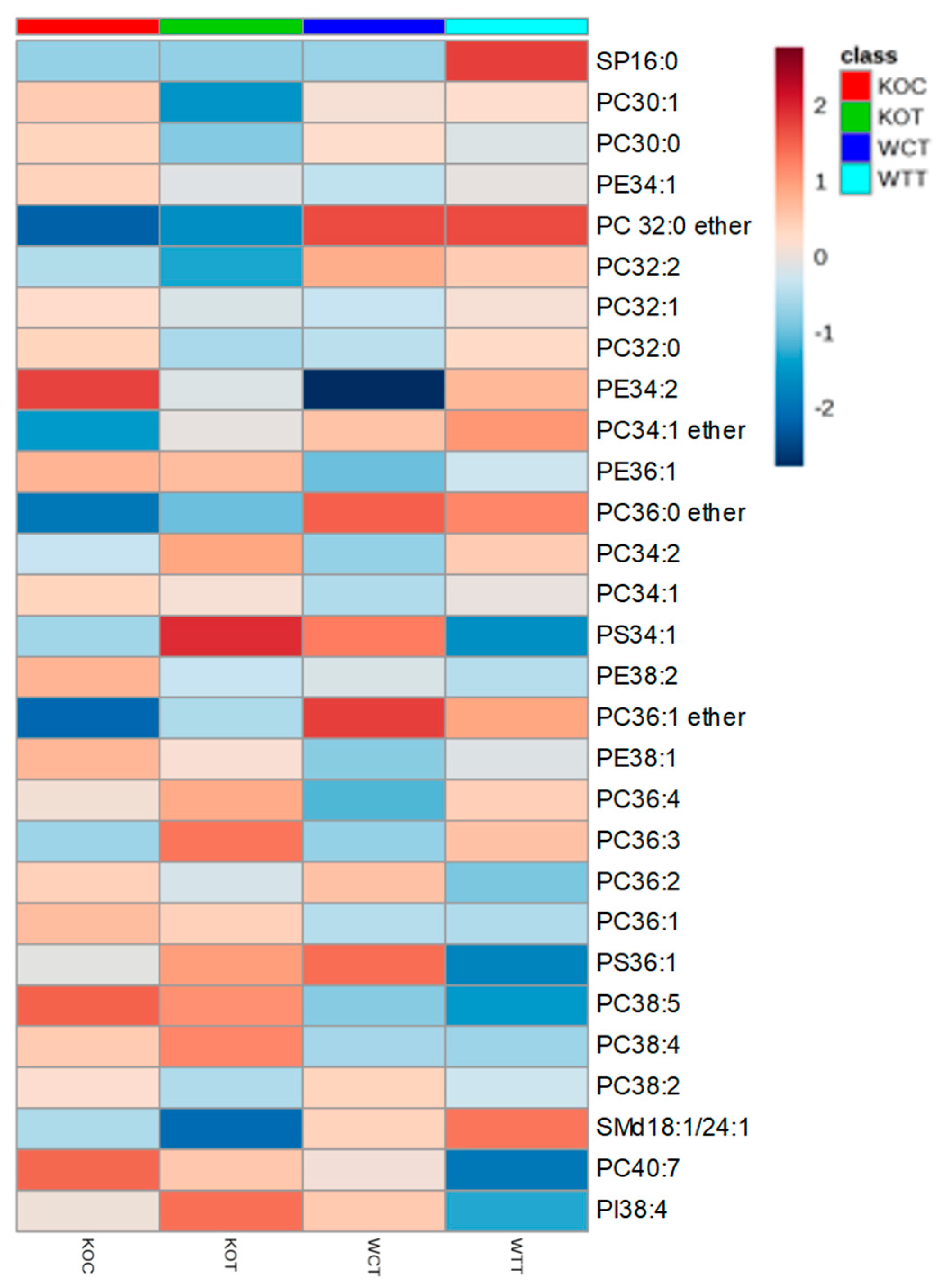 Ijms 20 01387 g003 Ijms 20 01387 g003