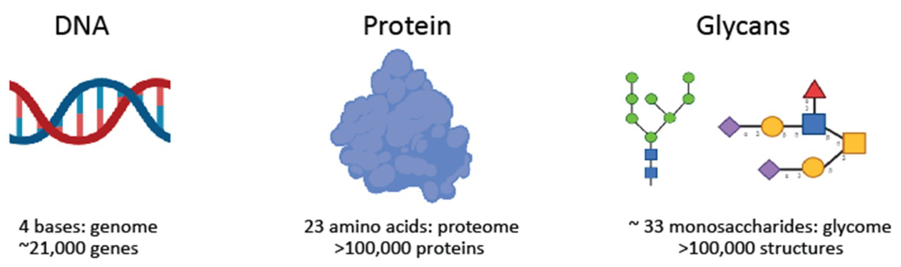 Ijms 20 01389 g001 Ijms 20 01389 g001