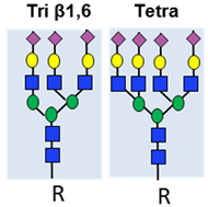 Ijms 20 01389 i006 Ijms 20 01389 i006