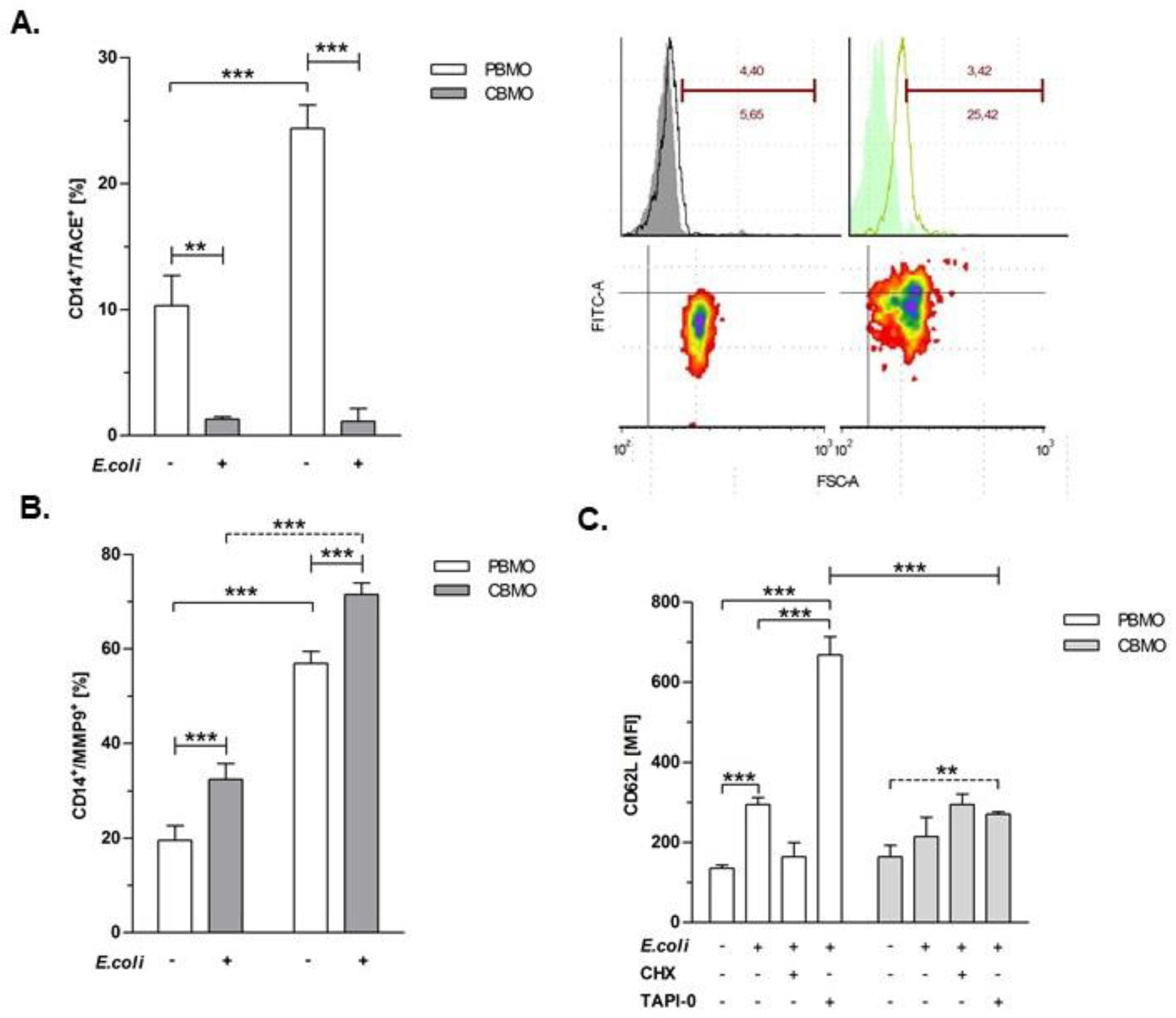 Ijms 20 01399 g001 Ijms 20 01399 g001