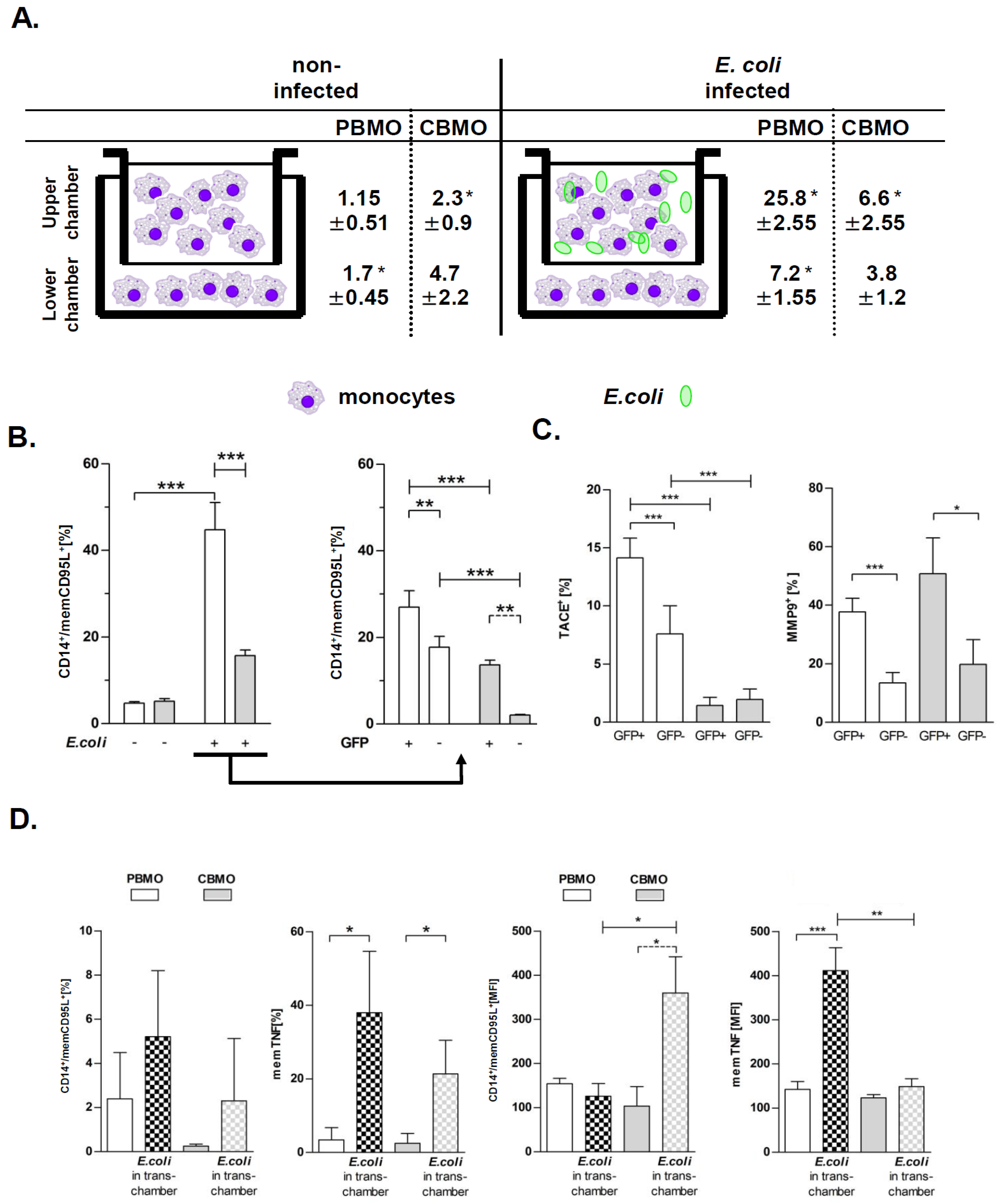 Ijms 20 01399 g005 Ijms 20 01399 g005