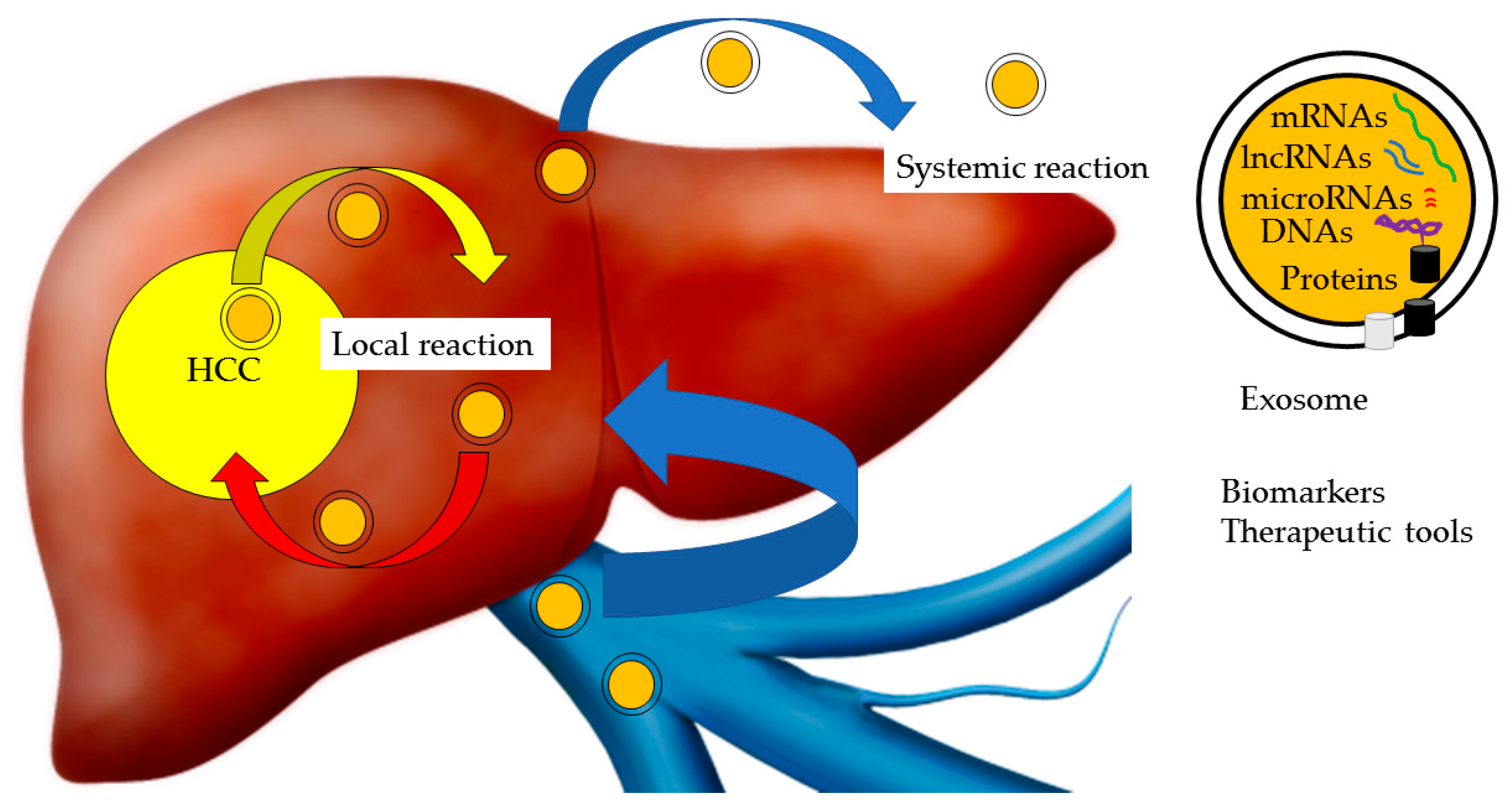 Ijms 20 01406 g001 Ijms 20 01406 g001