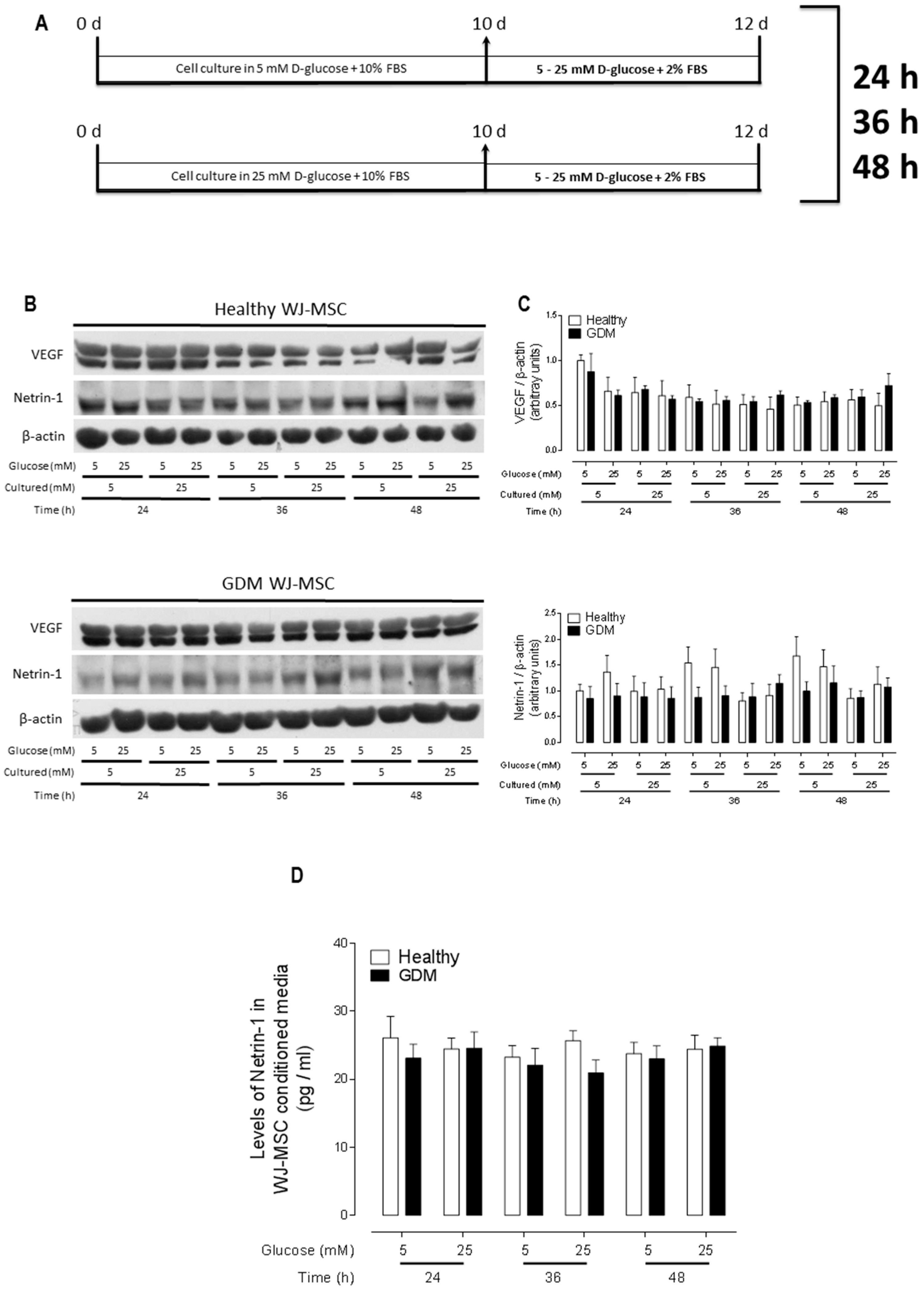 Ijms 20 01408 g001 Ijms 20 01408 g001