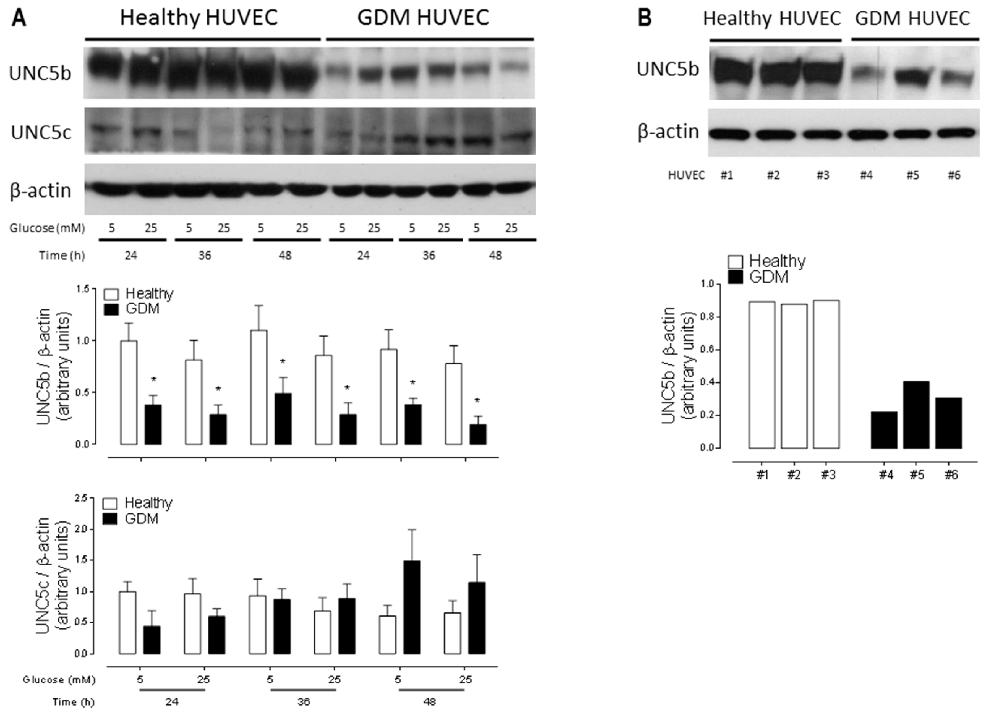 Ijms 20 01408 g003 Ijms 20 01408 g003