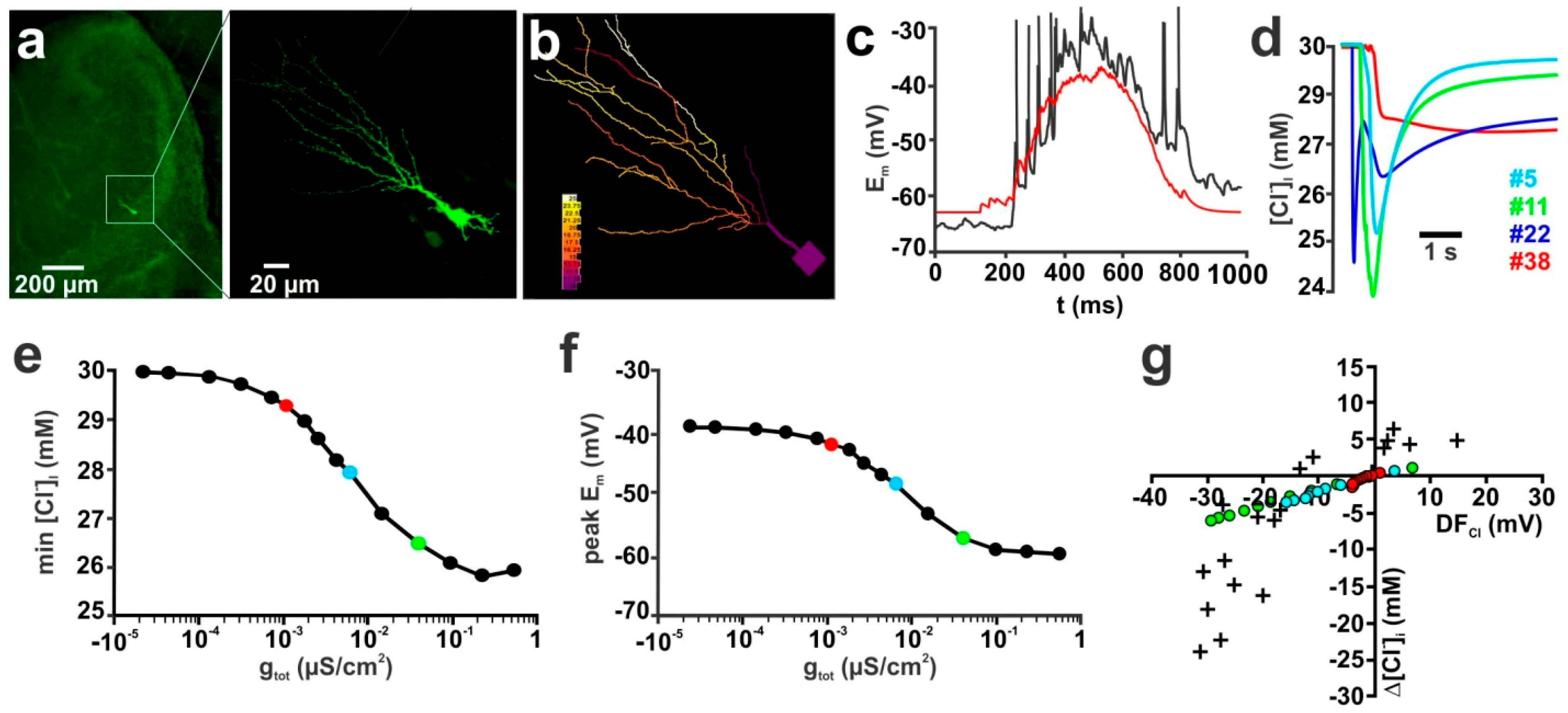 Ijms 20 01416 g002 Ijms 20 01416 g002