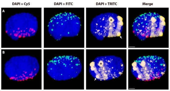 Ijms 20 01448 g0a2 550