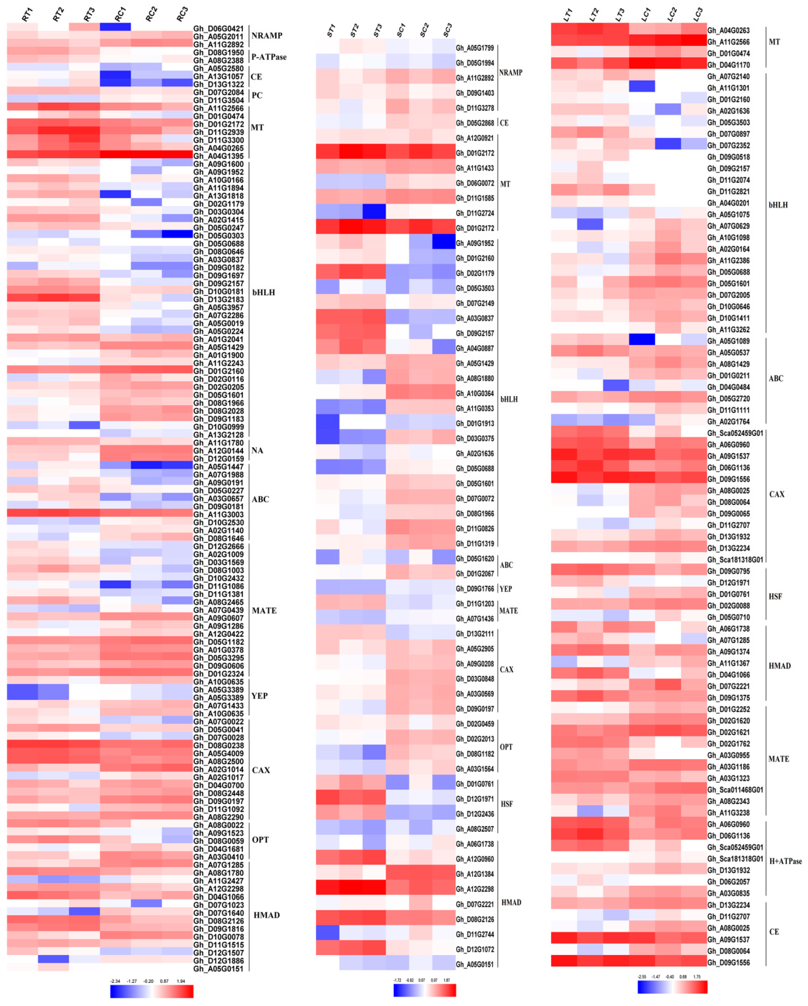 Ijms 20 01479 g004 Ijms 20 01479 g004