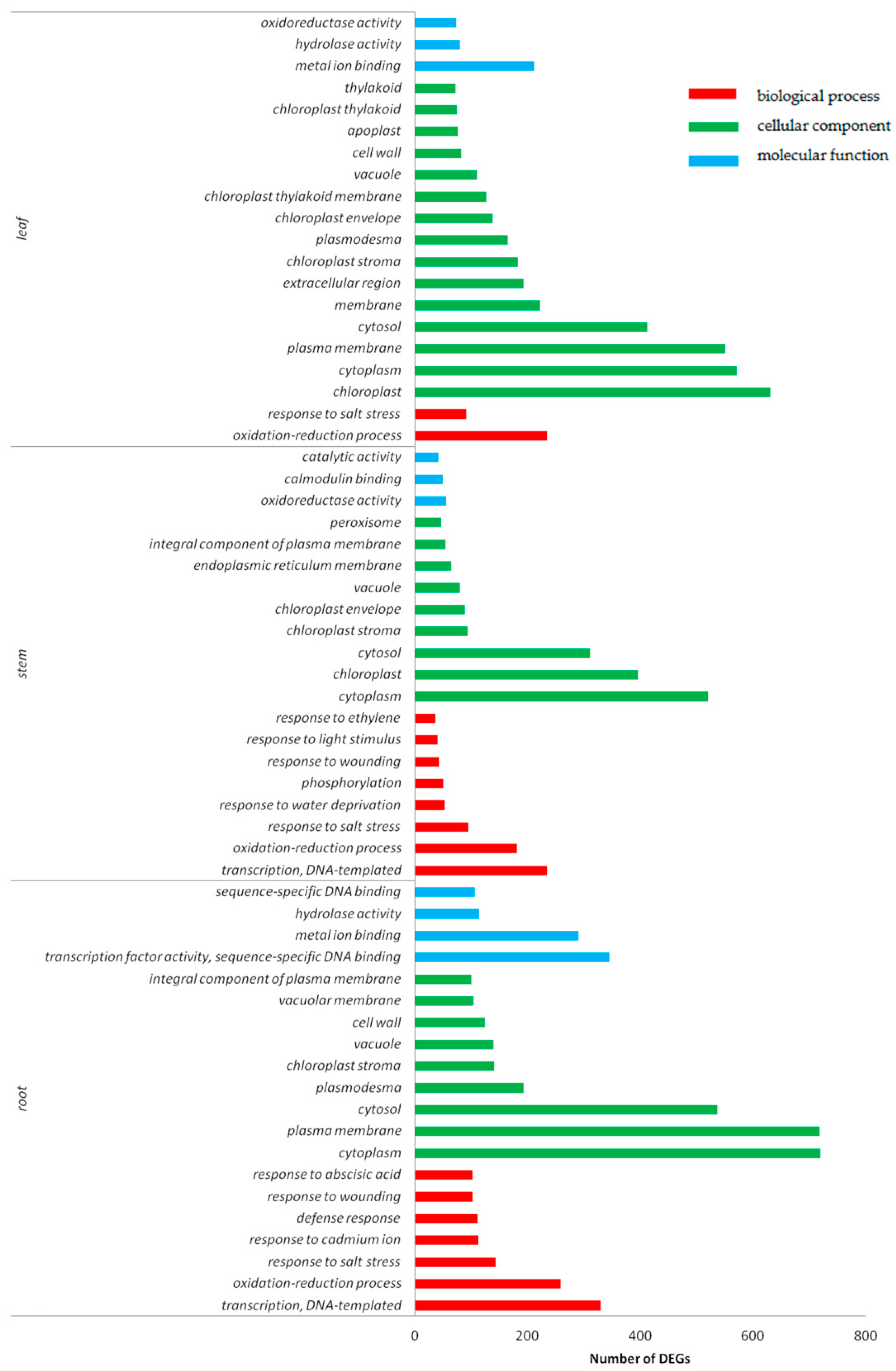 Ijms 20 01479 g005 Ijms 20 01479 g005