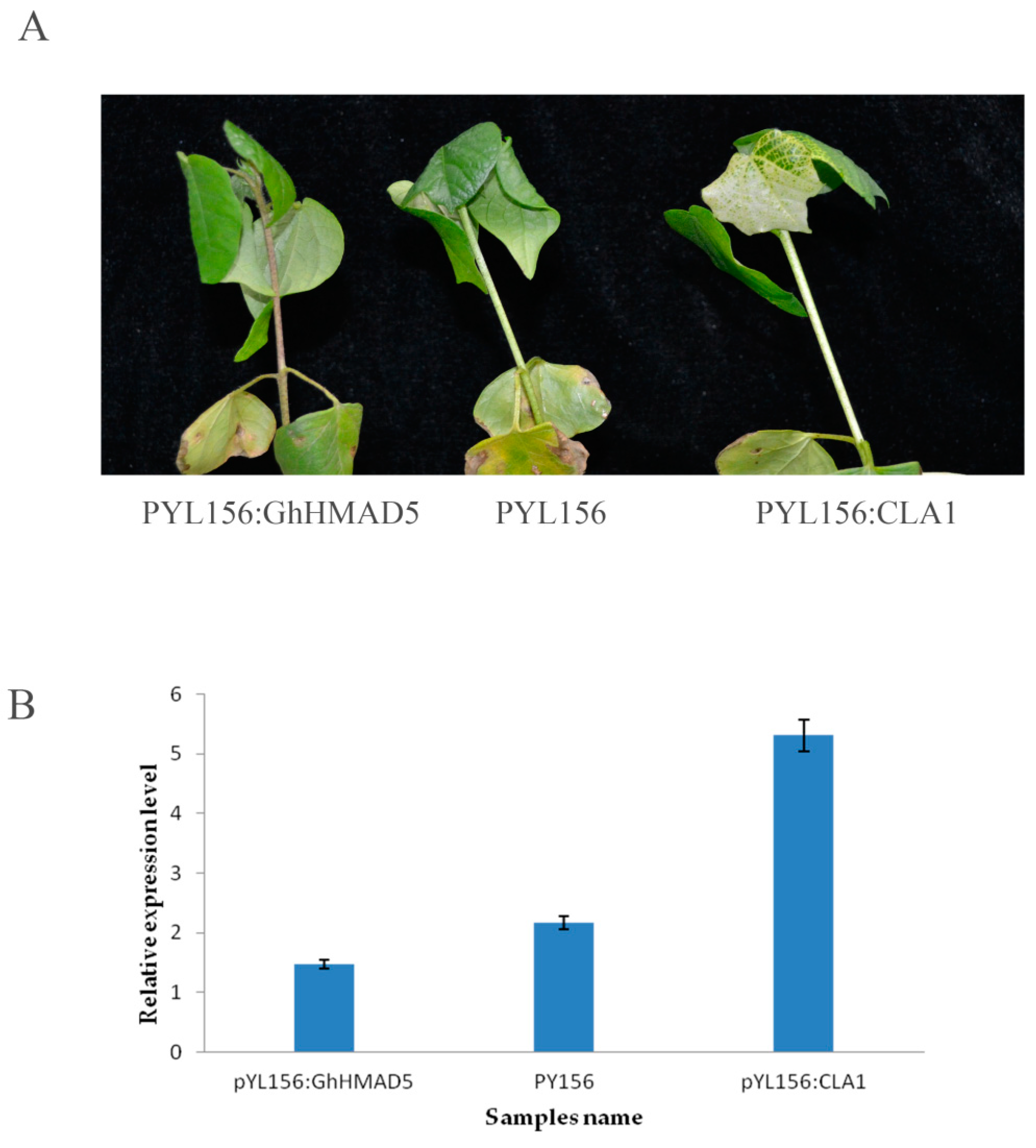 Ijms 20 01479 g009 Ijms 20 01479 g009