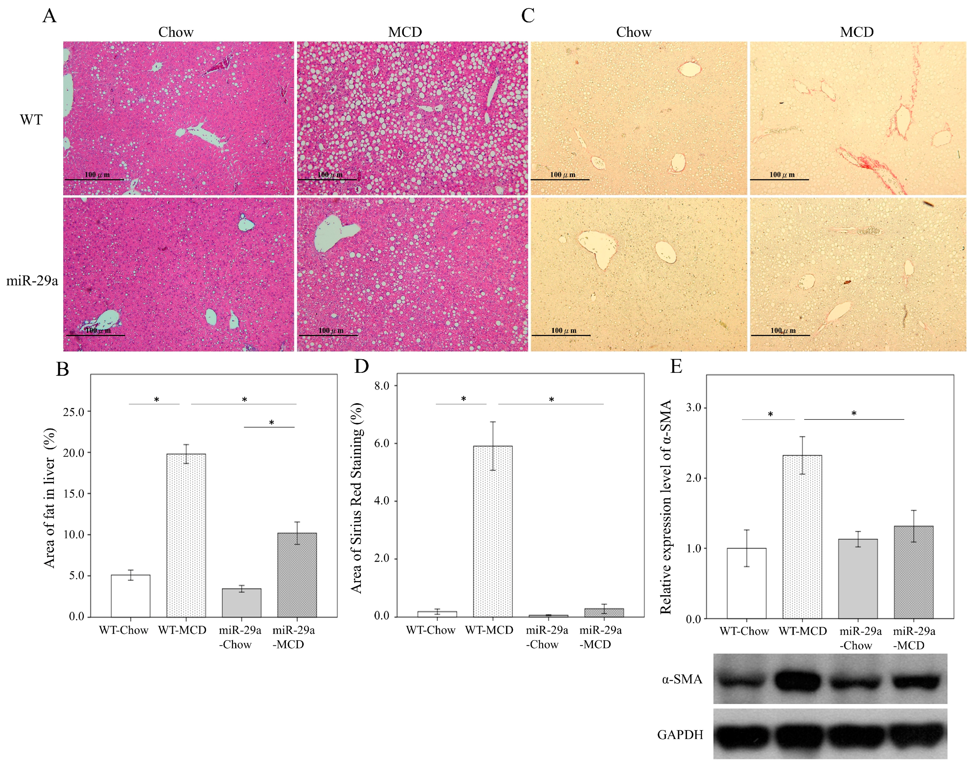 Ijms 20 01499 g001