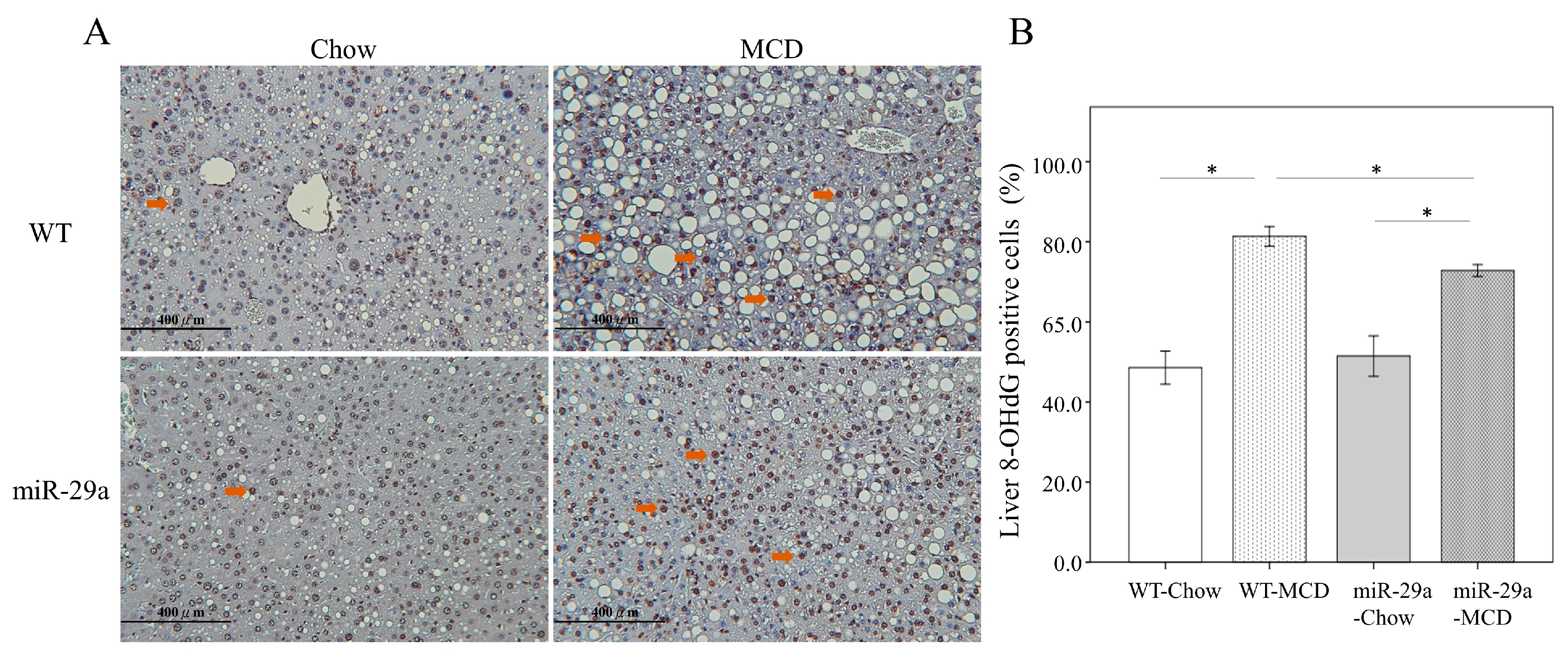 Ijms 20 01499 g002