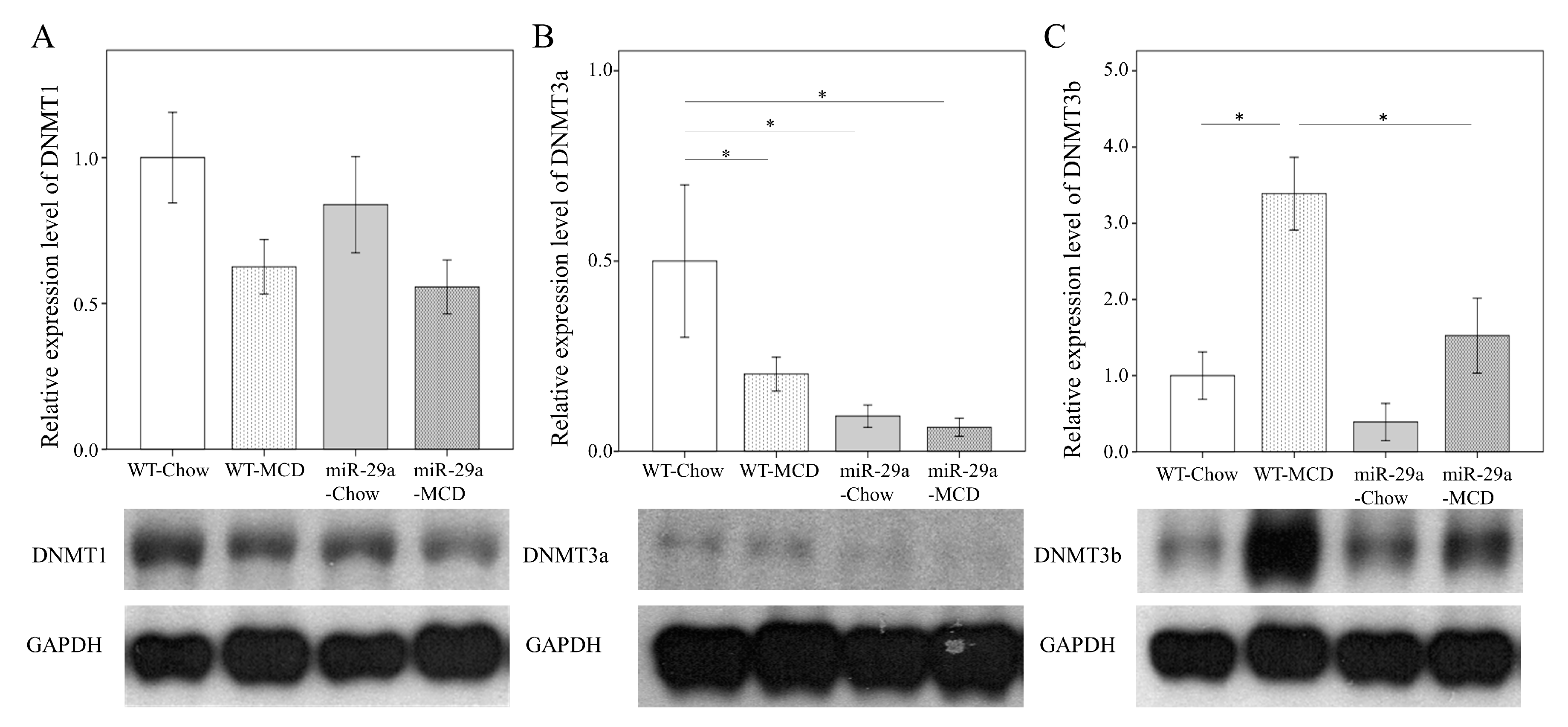 Ijms 20 01499 g003