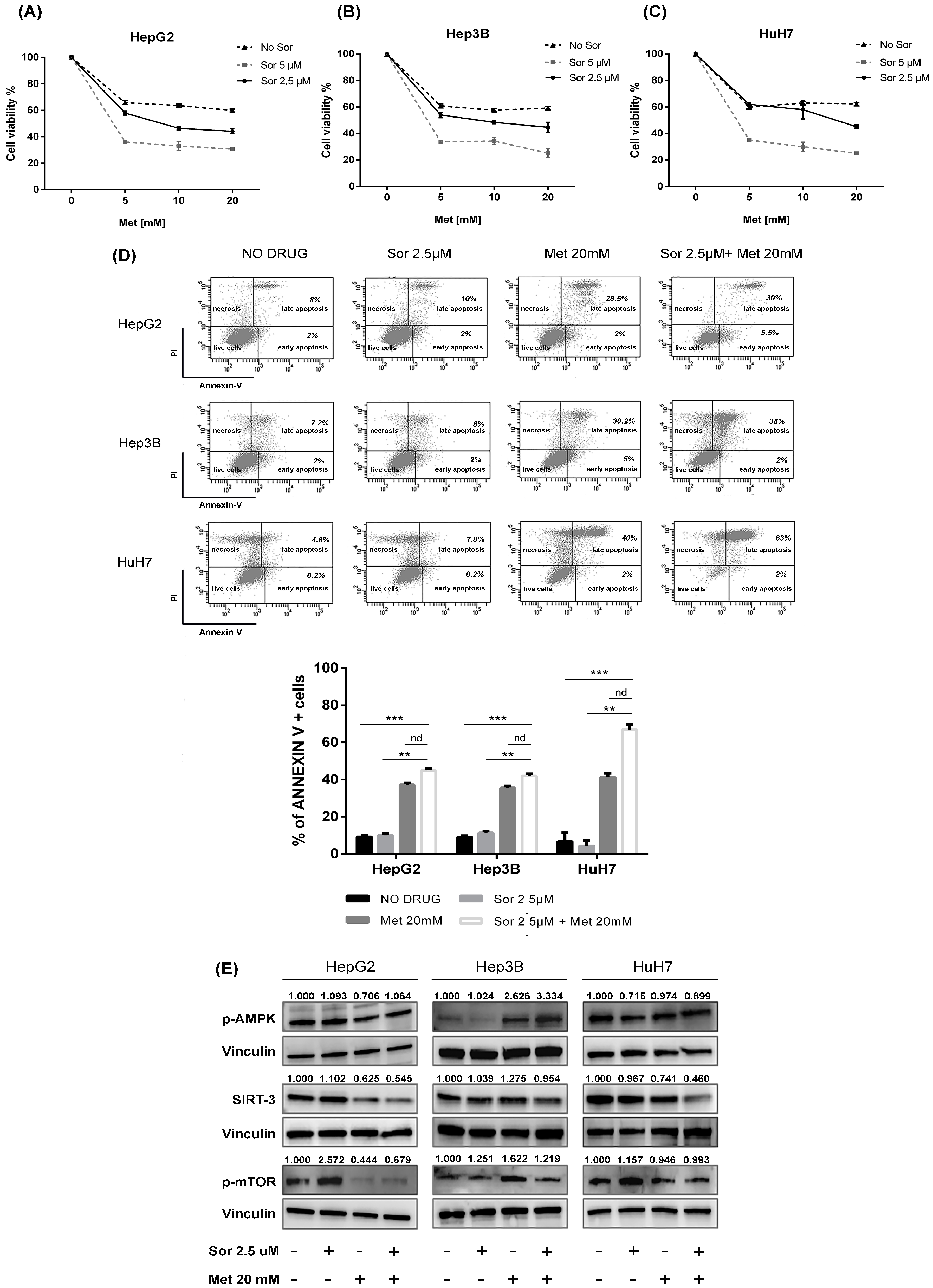 Ijms 20 01503 g003