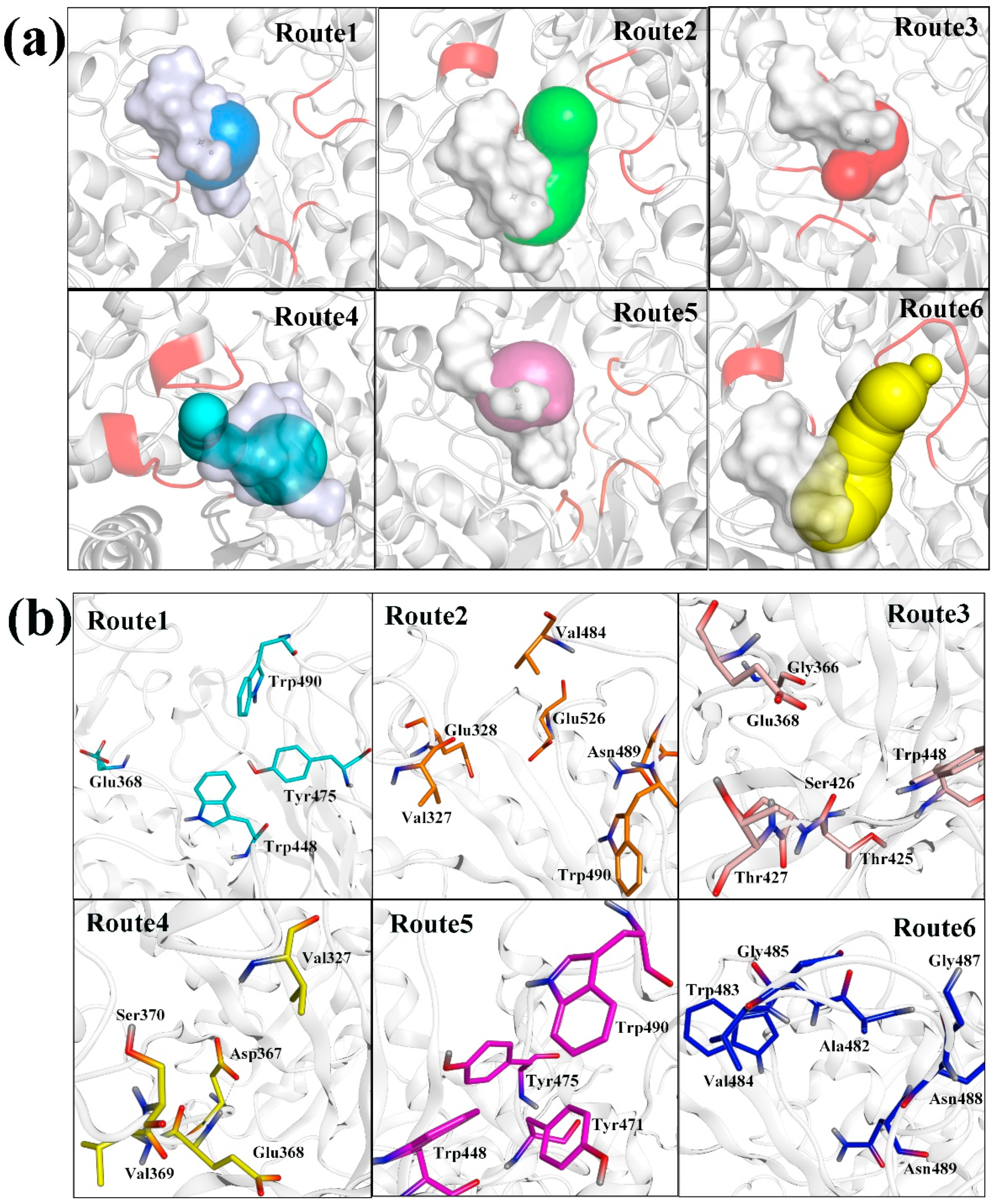 Ijms 20 01516 g003