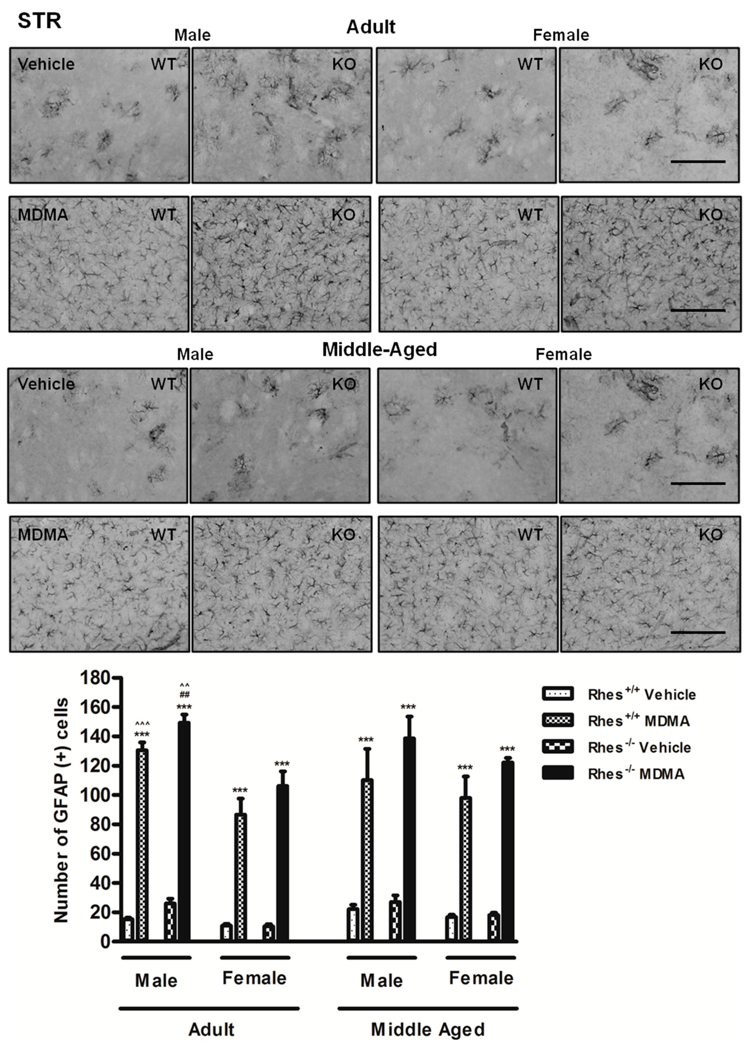 Ijms 20 01556 g001