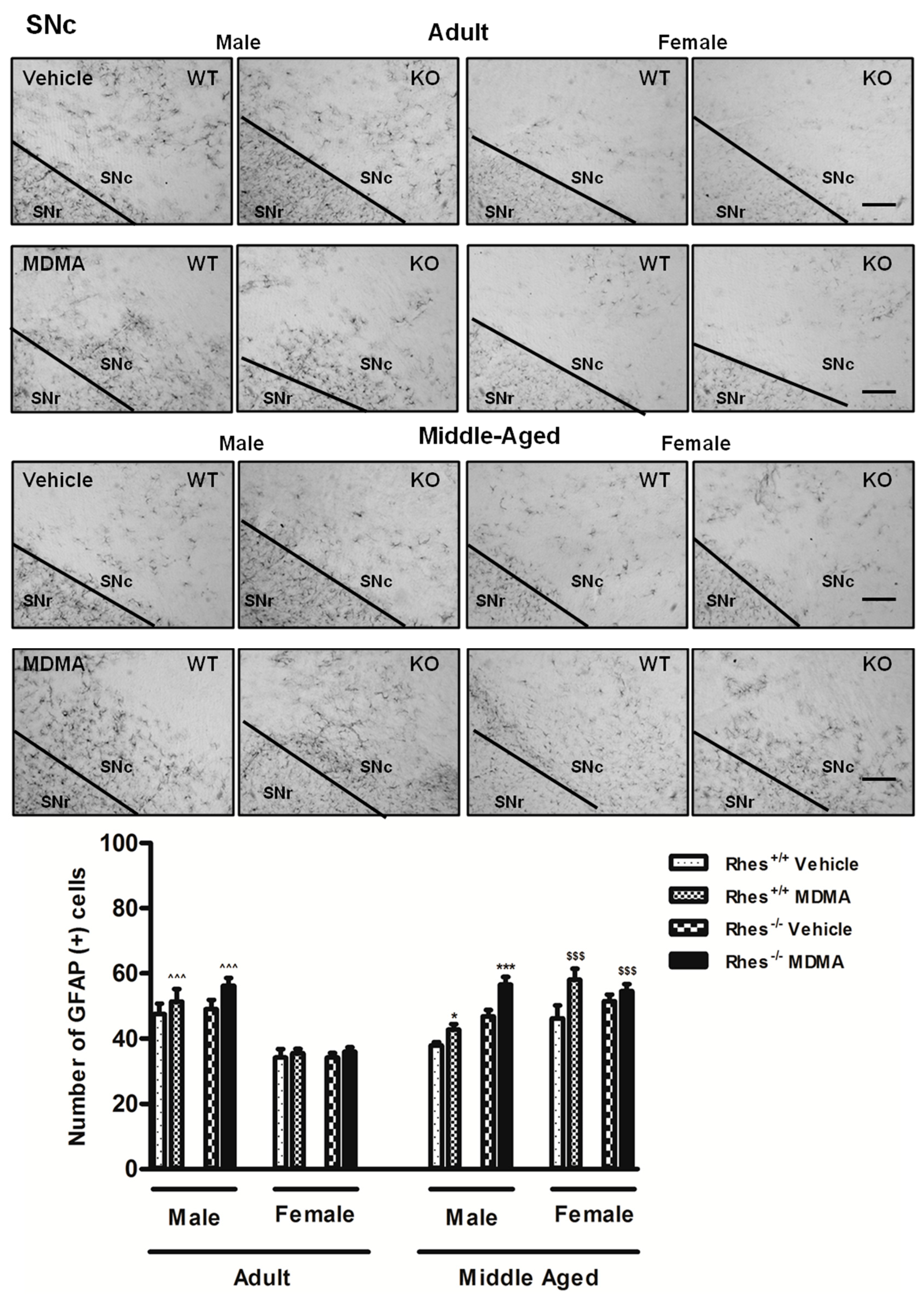 Ijms 20 01556 g002