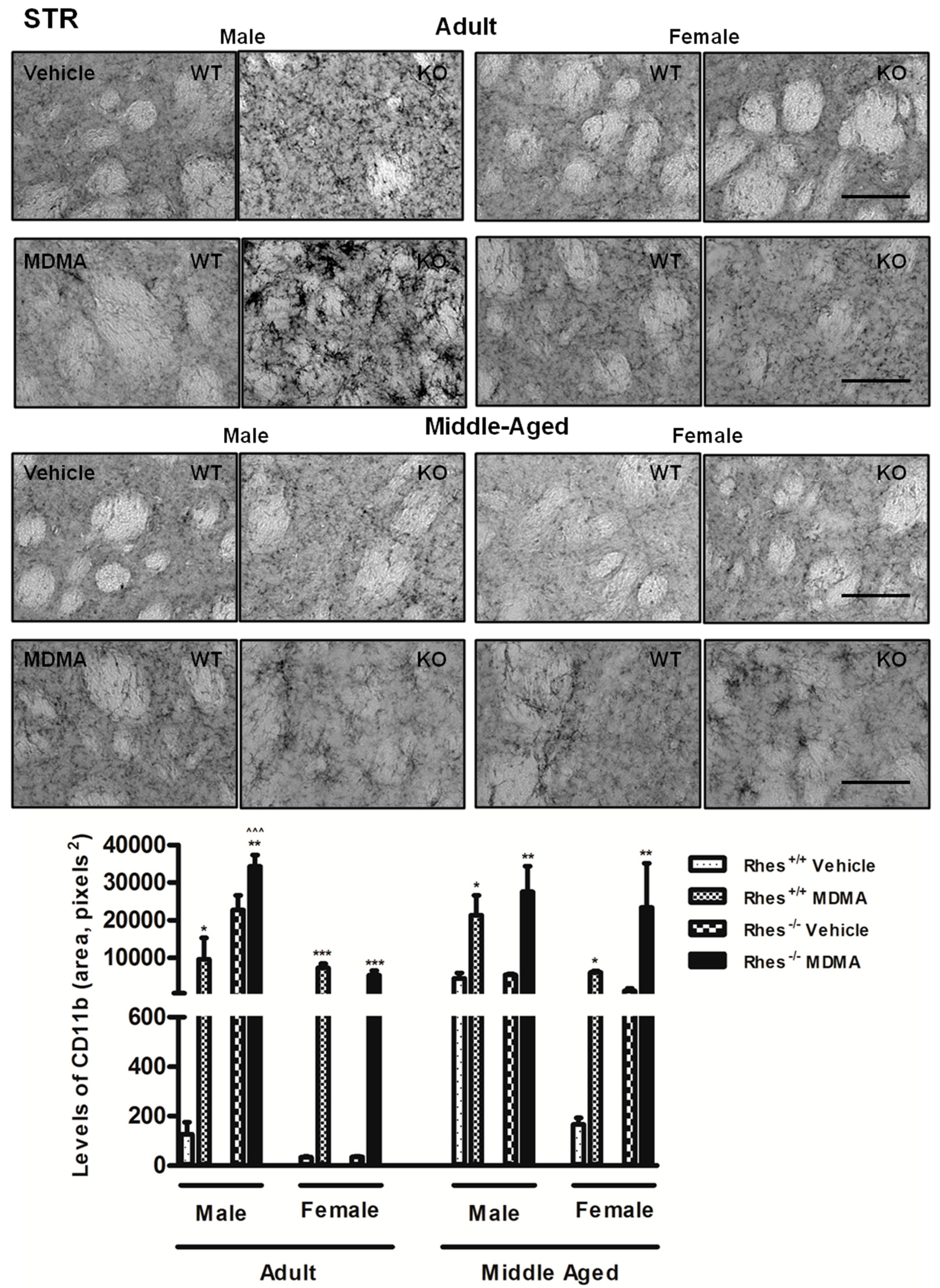 Ijms 20 01556 g003