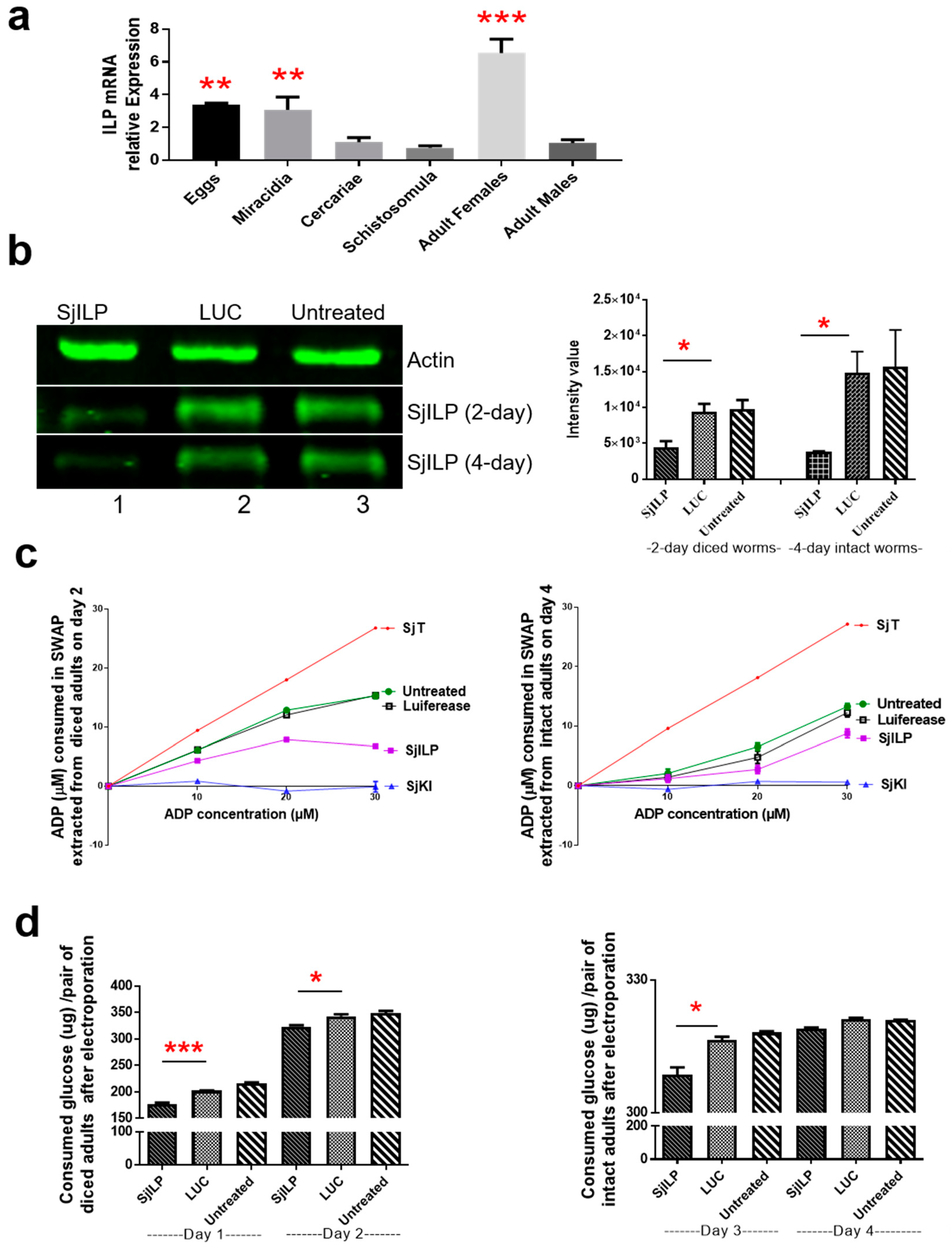 Ijms 20 01565 g001 Ijms 20 01565 g001