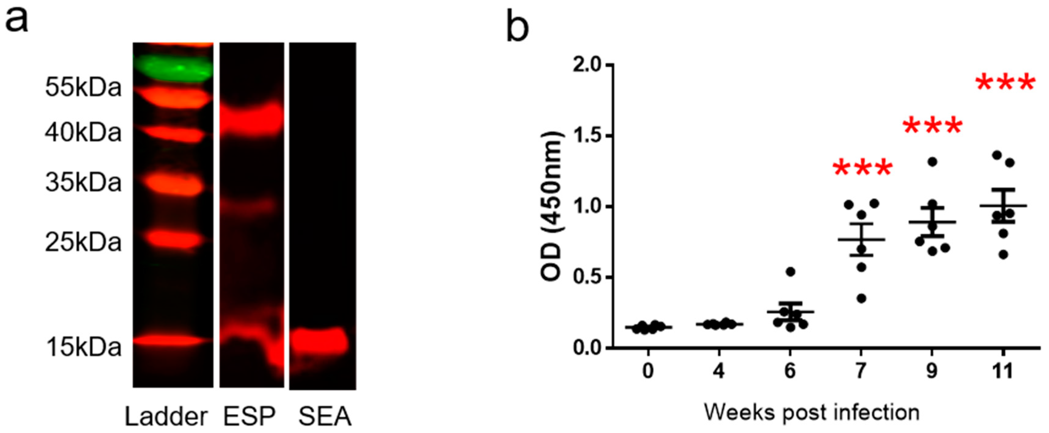 Ijms 20 01565 g003 Ijms 20 01565 g003
