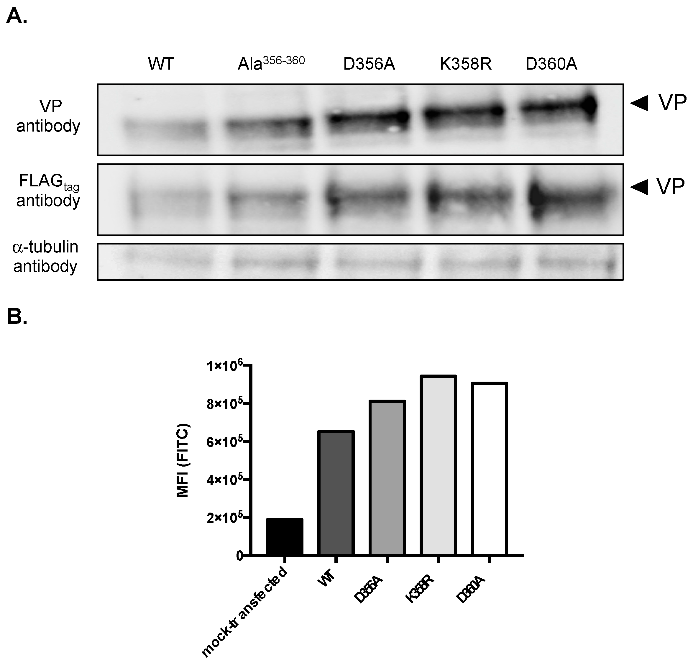 Ijms 20 01574 g002