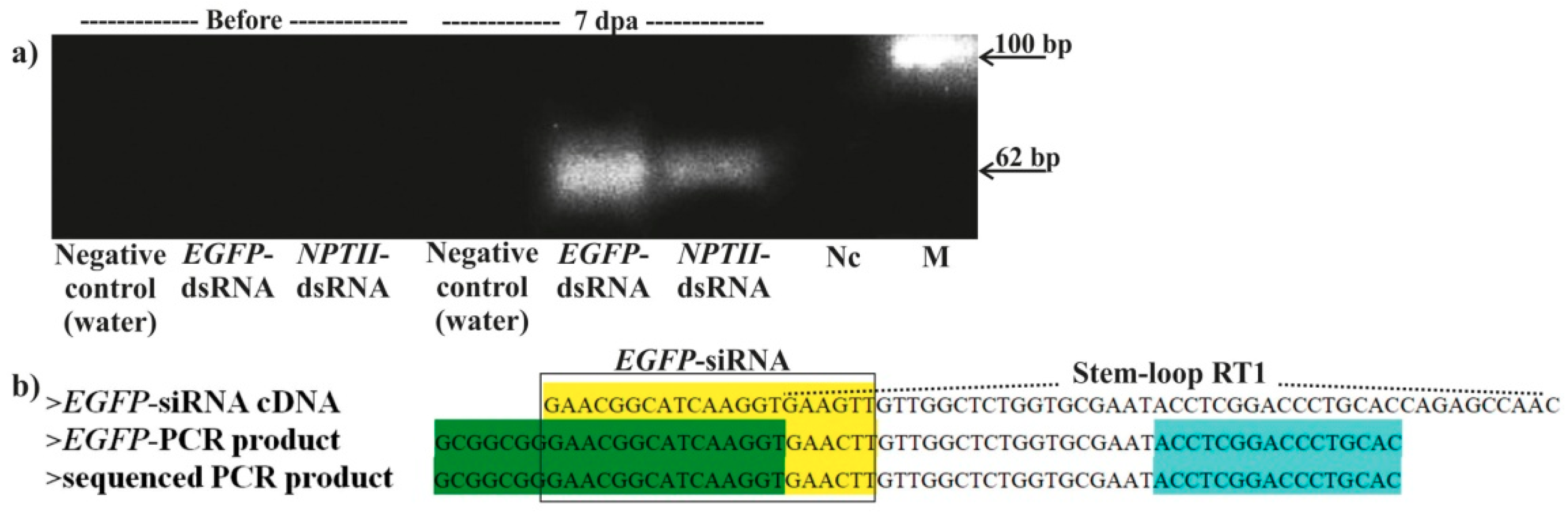 Ijms 20 01585 g005 Ijms 20 01585 g005