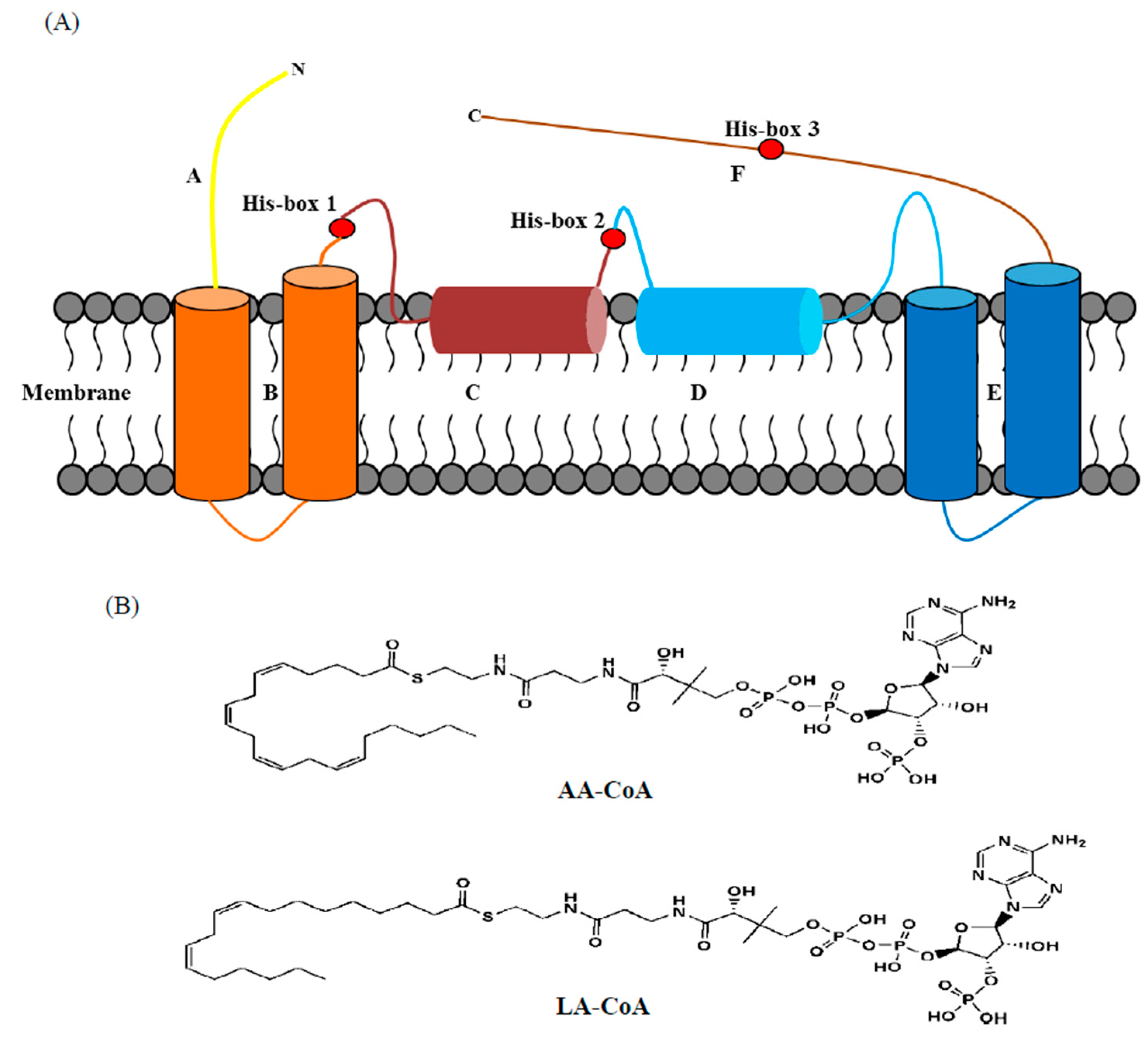 Ijms 20 01603 g002 Ijms 20 01603 g002