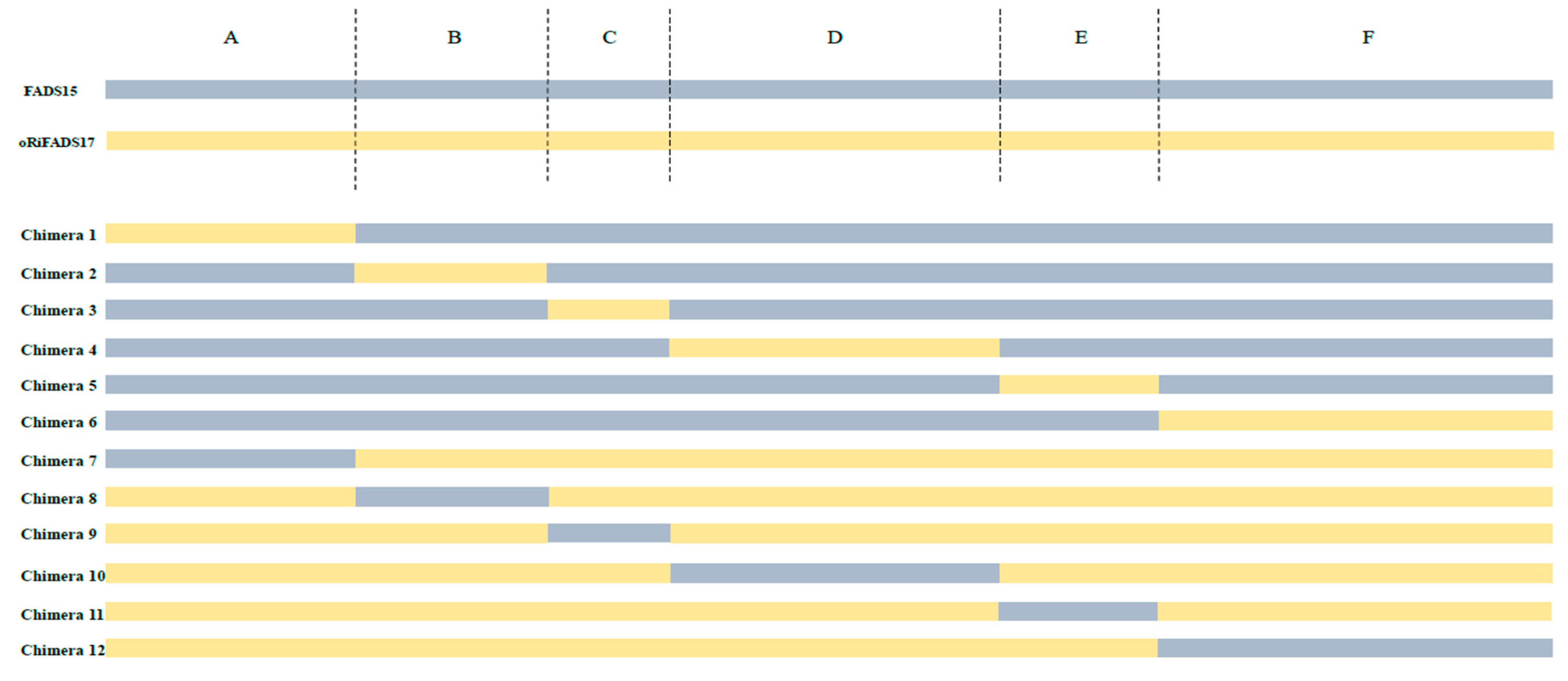 Ijms 20 01603 g003 Ijms 20 01603 g003