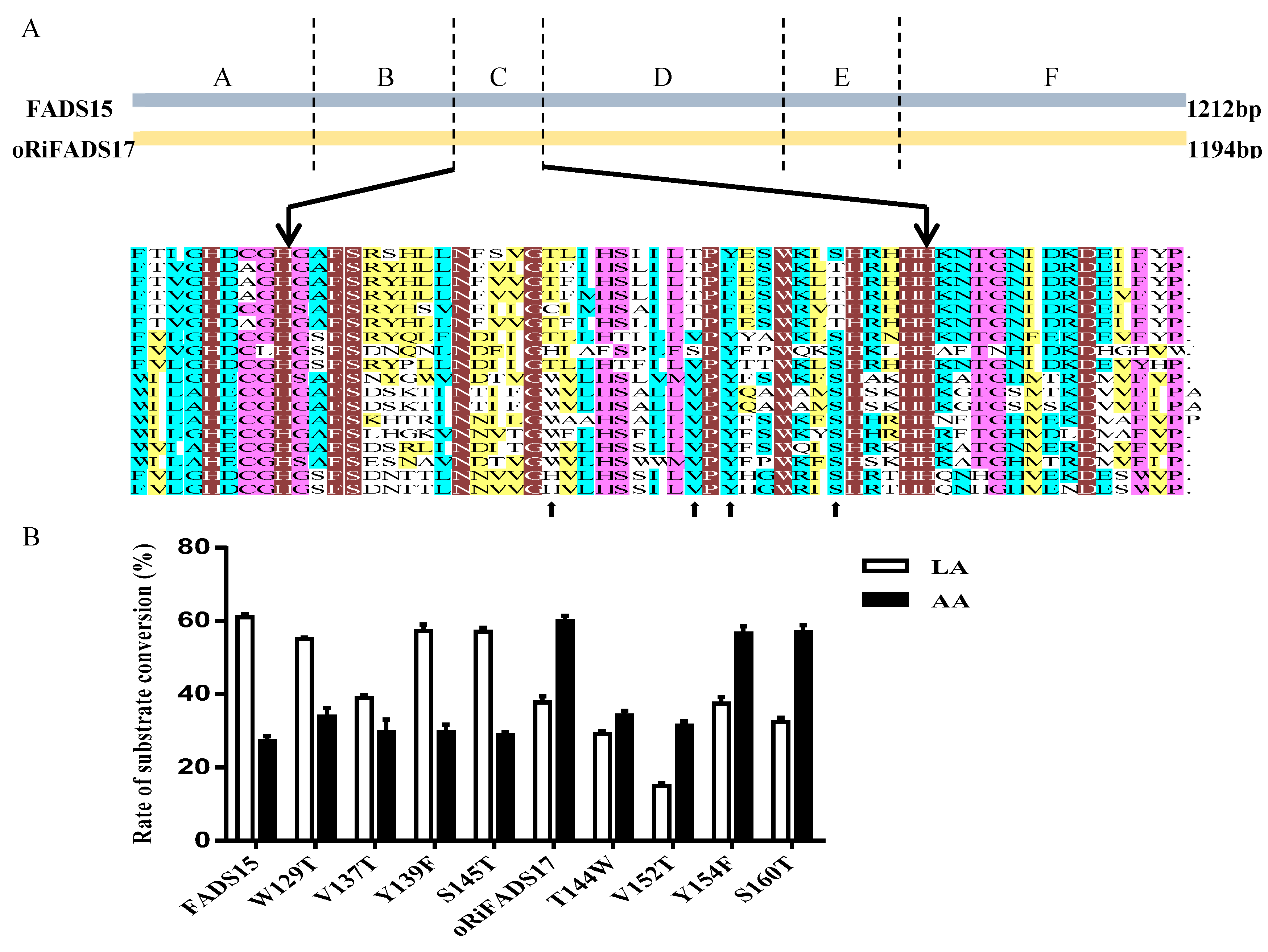 Ijms 20 01603 g005 Ijms 20 01603 g005