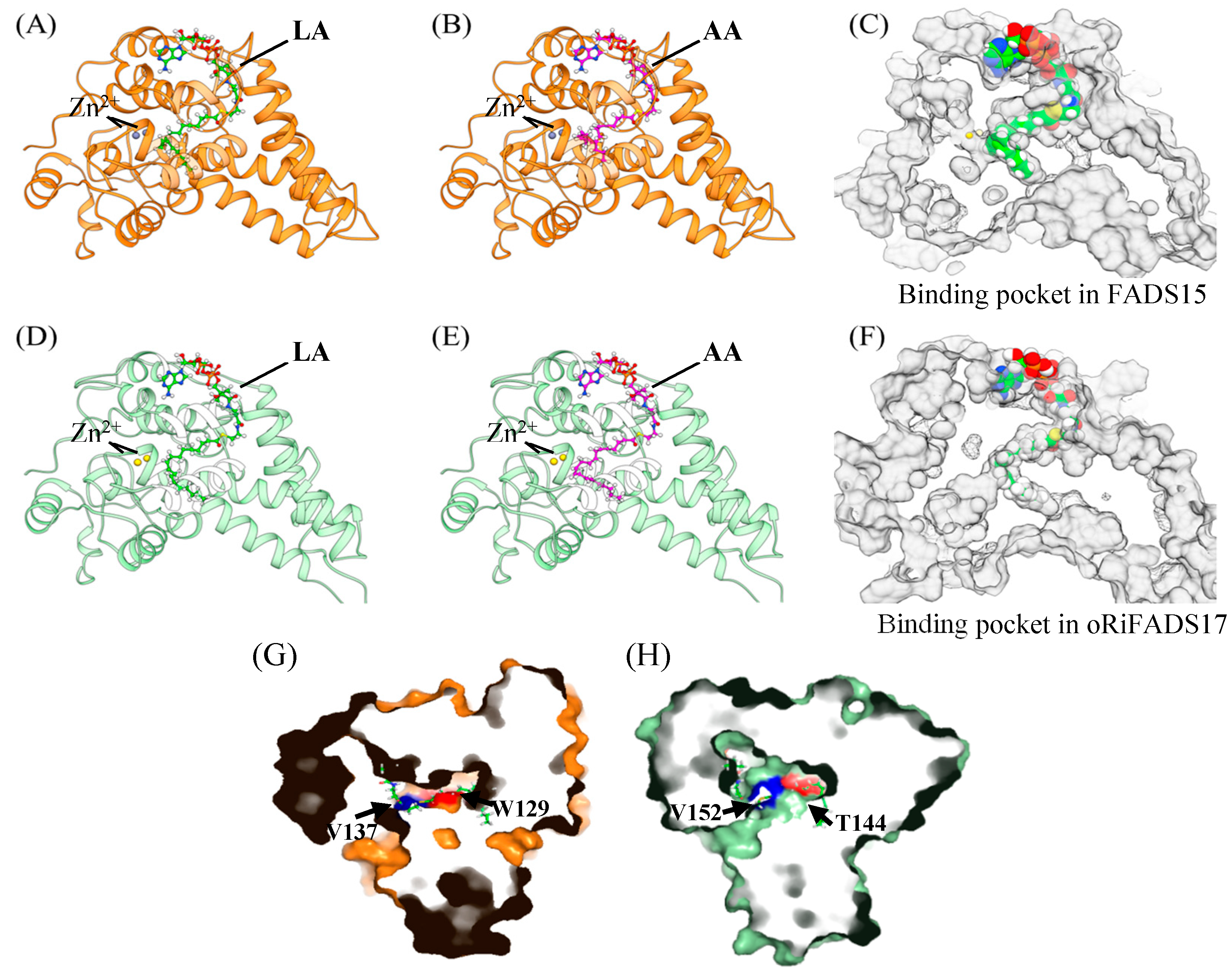Ijms 20 01603 g006 Ijms 20 01603 g006