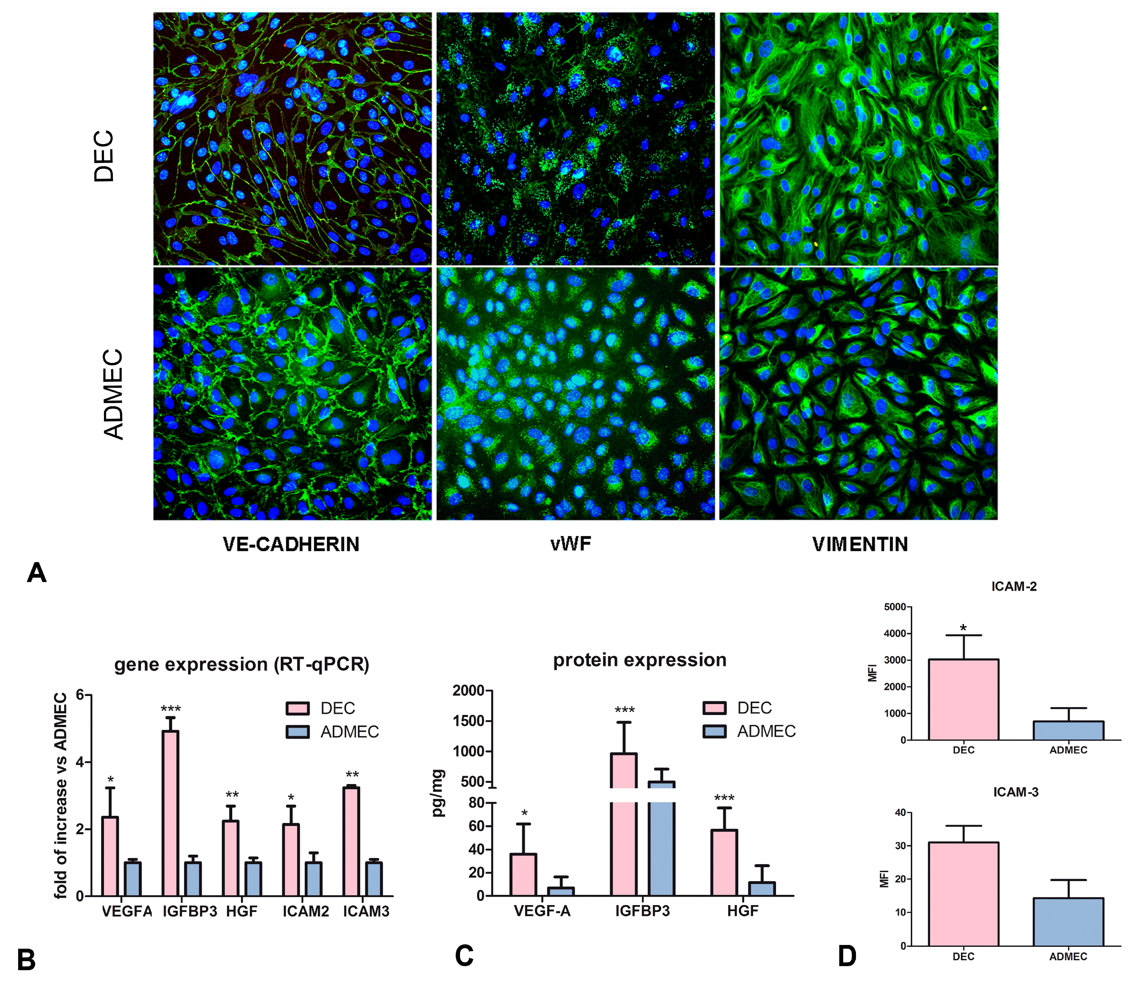 Ijms 20 01604 g001 Ijms 20 01604 g001