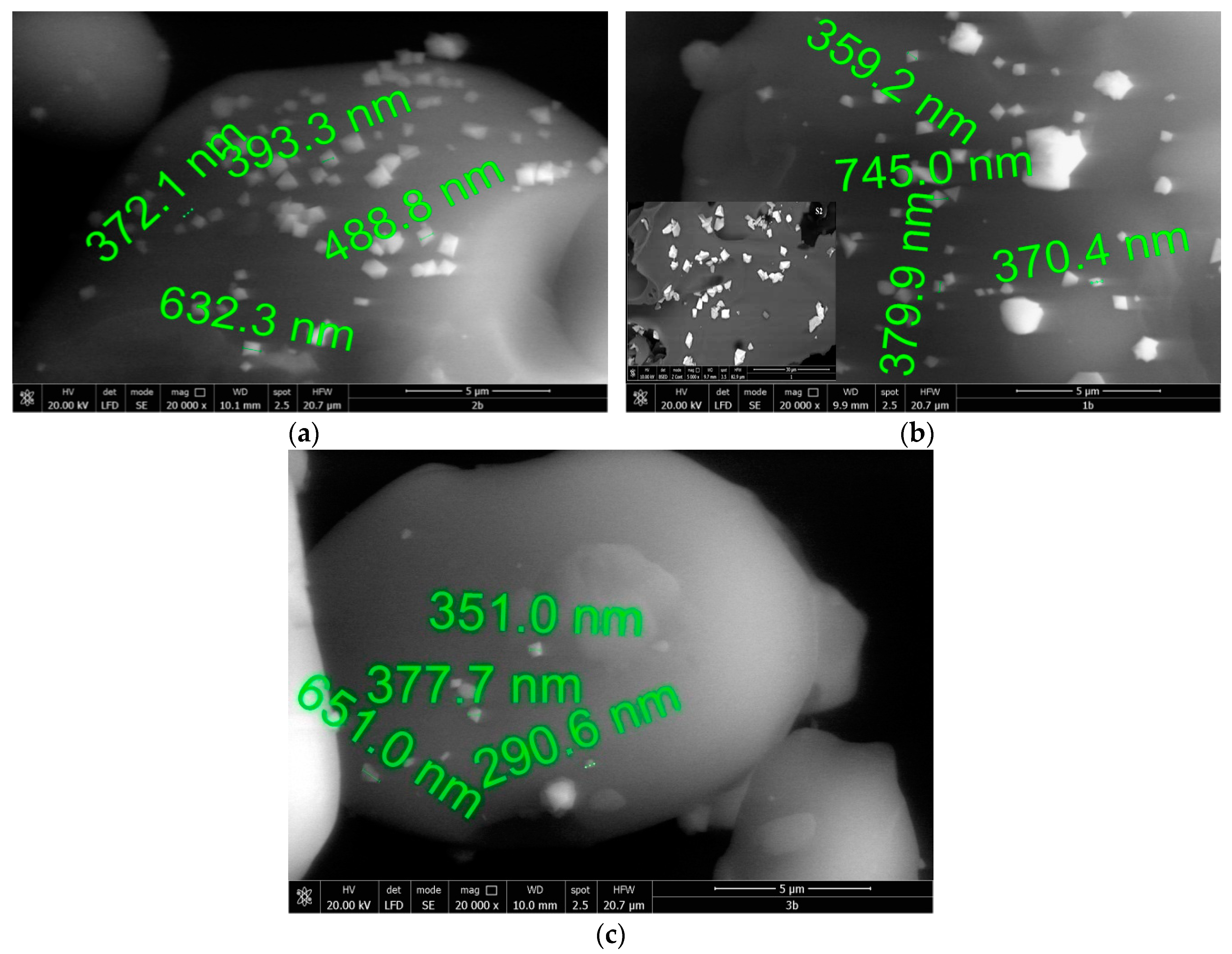 Ijms 20 01609 g006