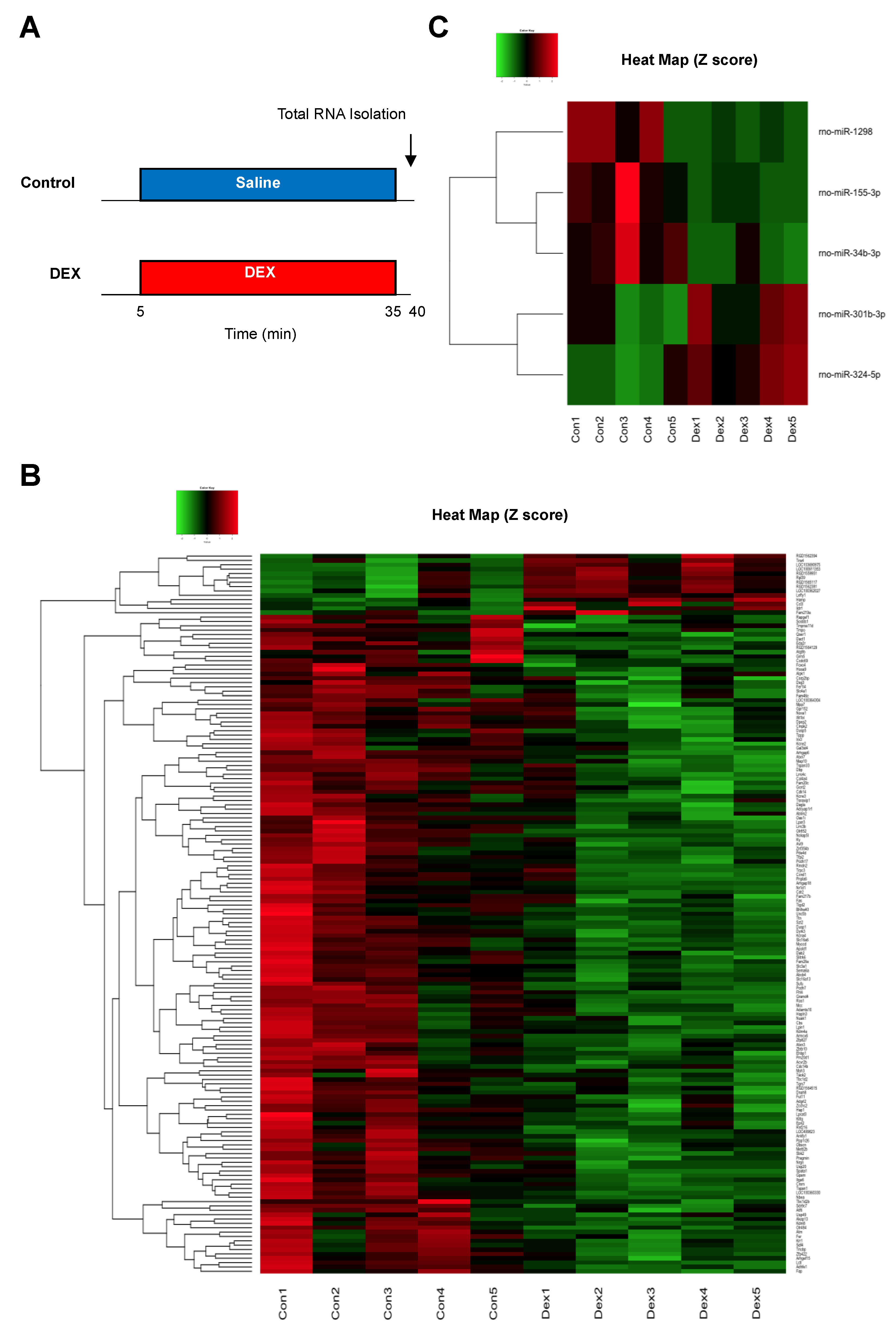 Ijms 20 01614 g002 Ijms 20 01614 g002