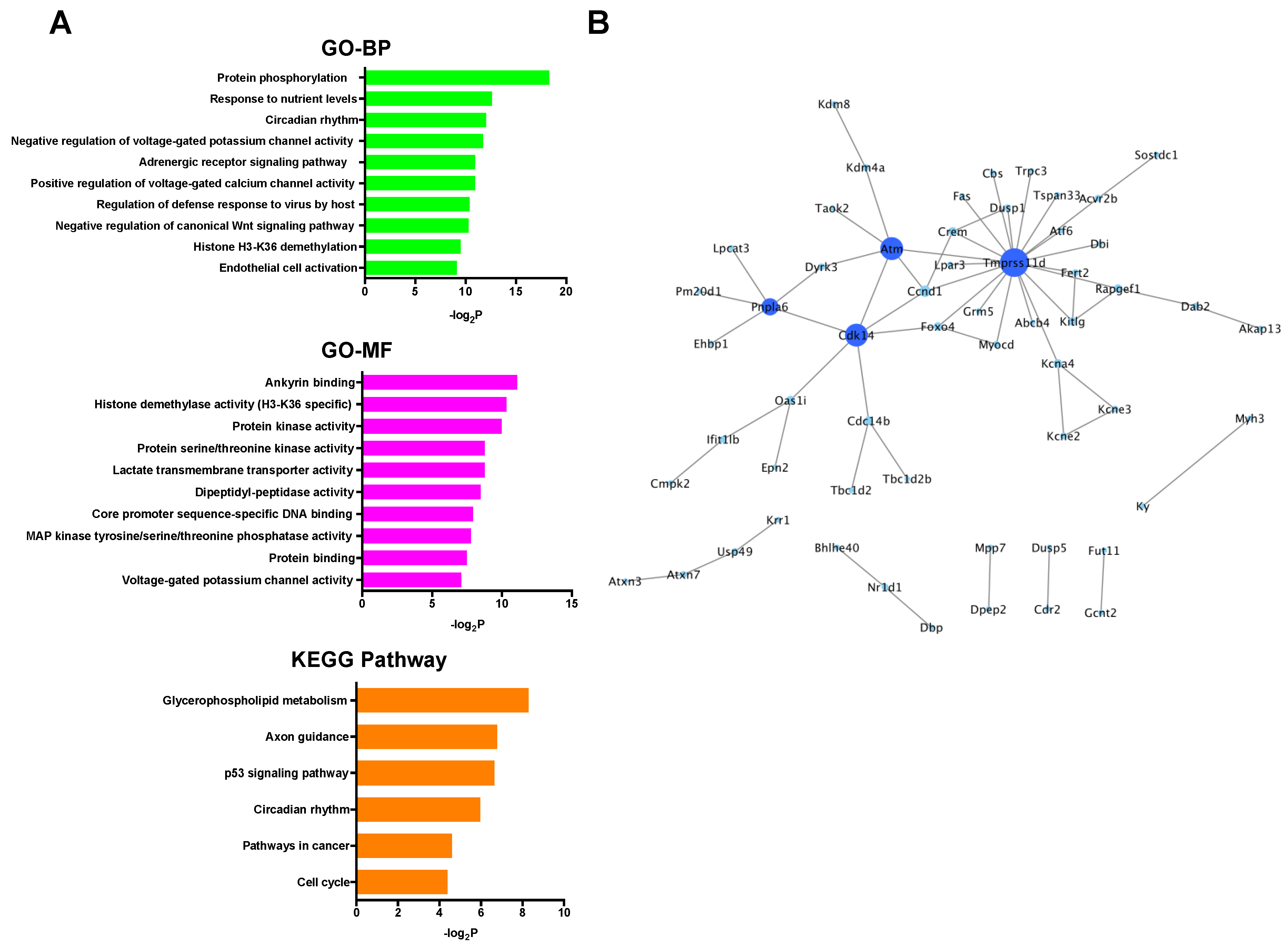 Ijms 20 01614 g005 Ijms 20 01614 g005