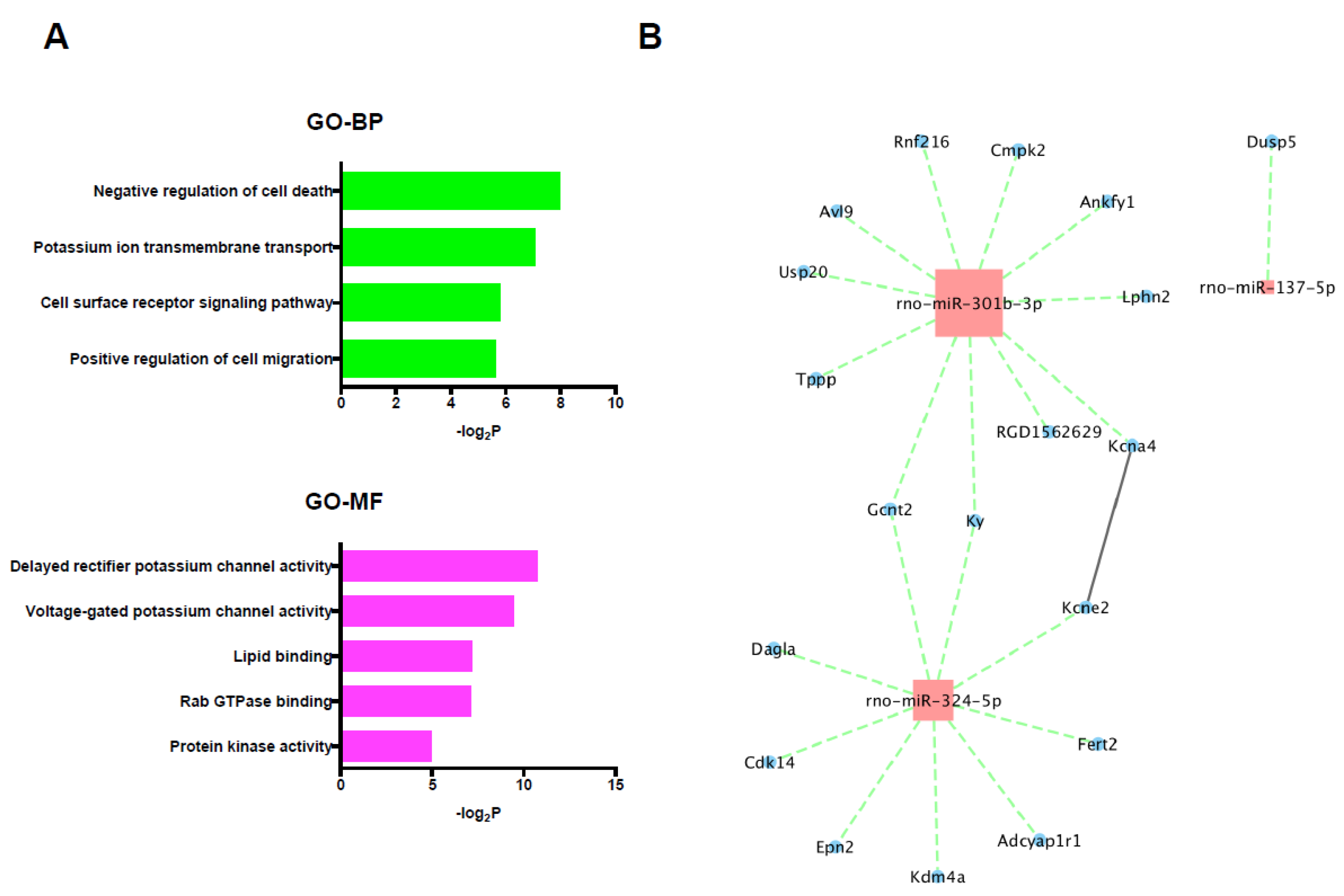 Ijms 20 01614 g006 Ijms 20 01614 g006