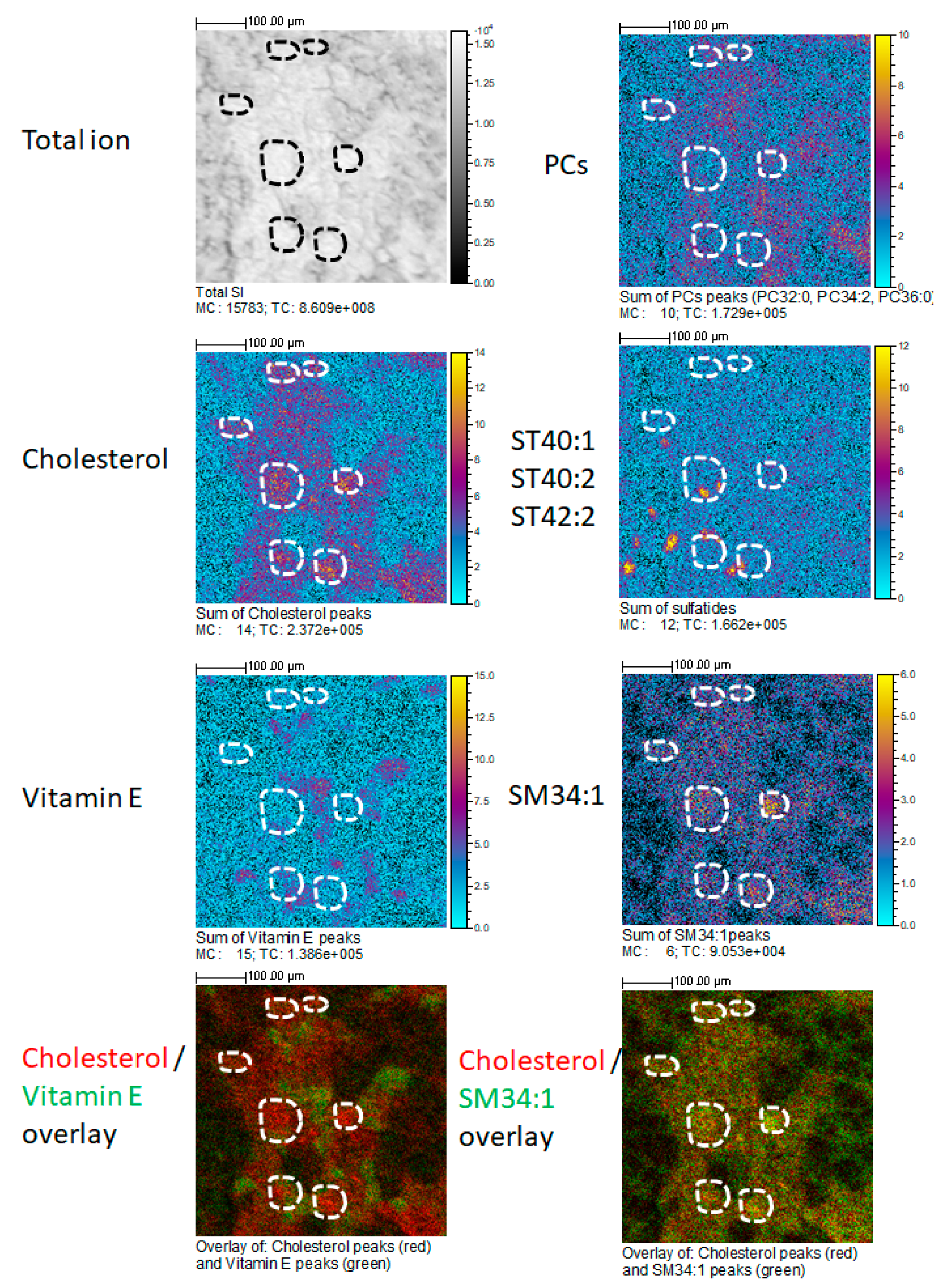 Ijms 20 01623 g001 Ijms 20 01623 g001