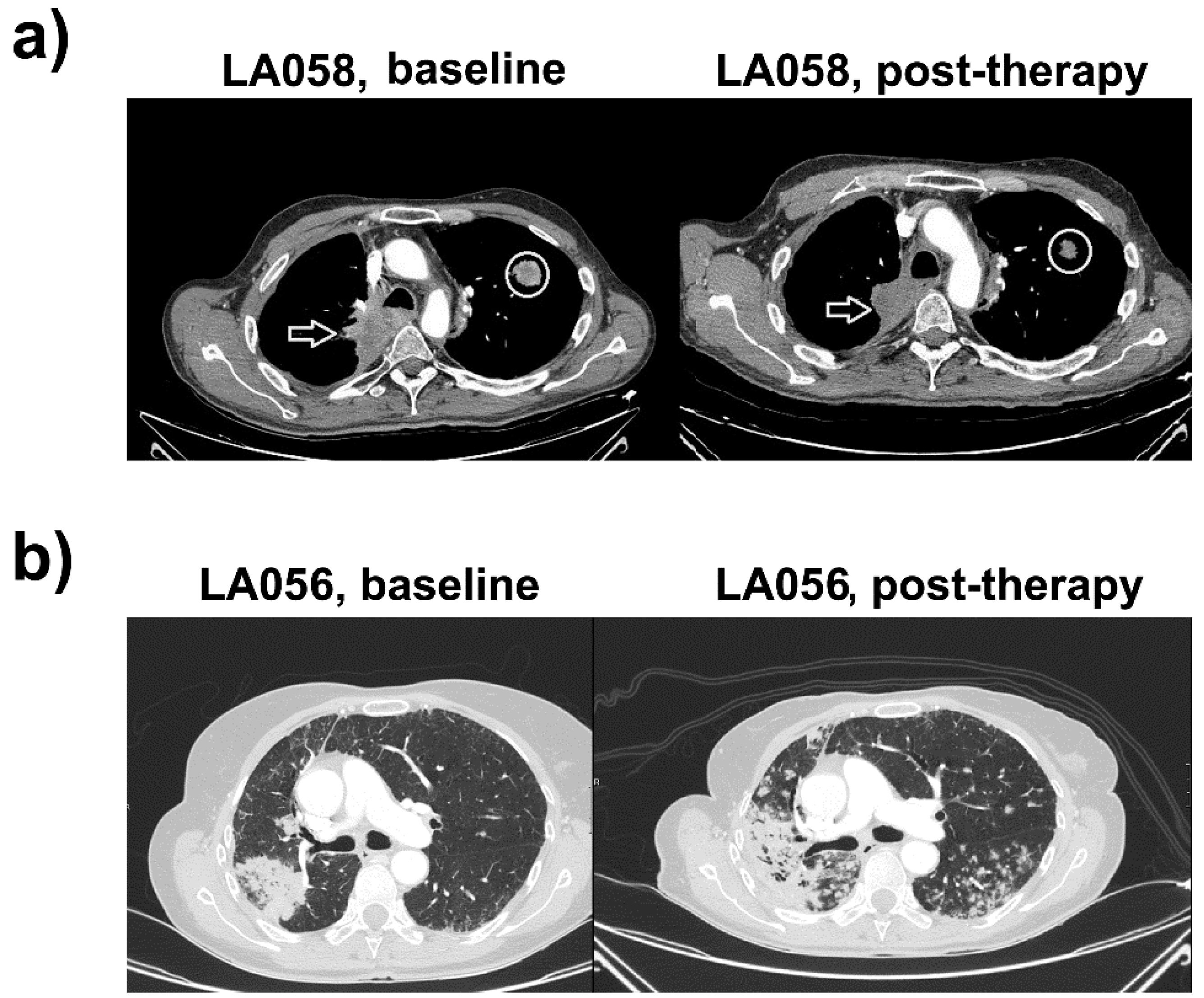 Ijms 20 01631 g001 Ijms 20 01631 g001