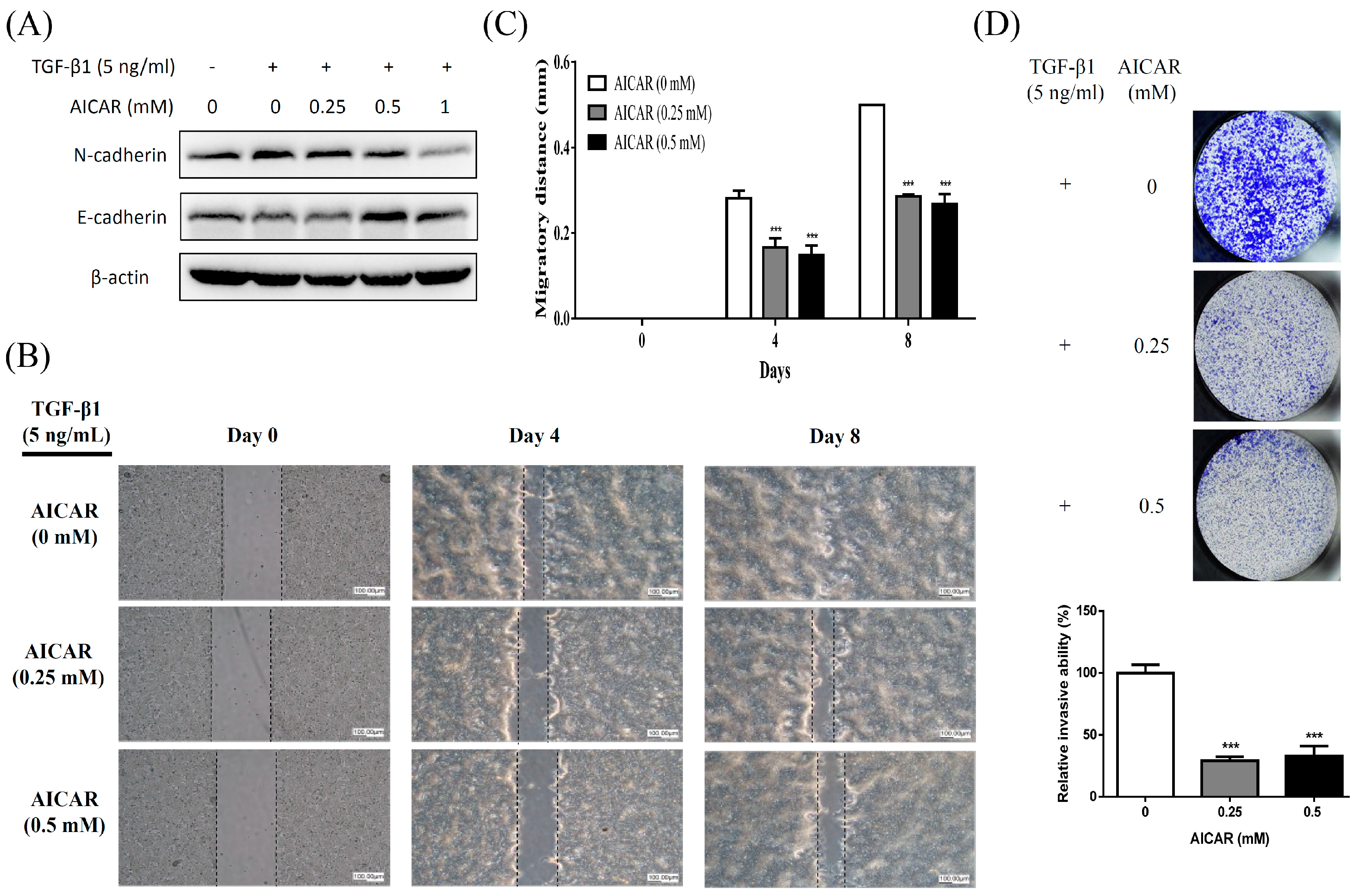 Ijms 20 01647 g004 Ijms 20 01647 g004