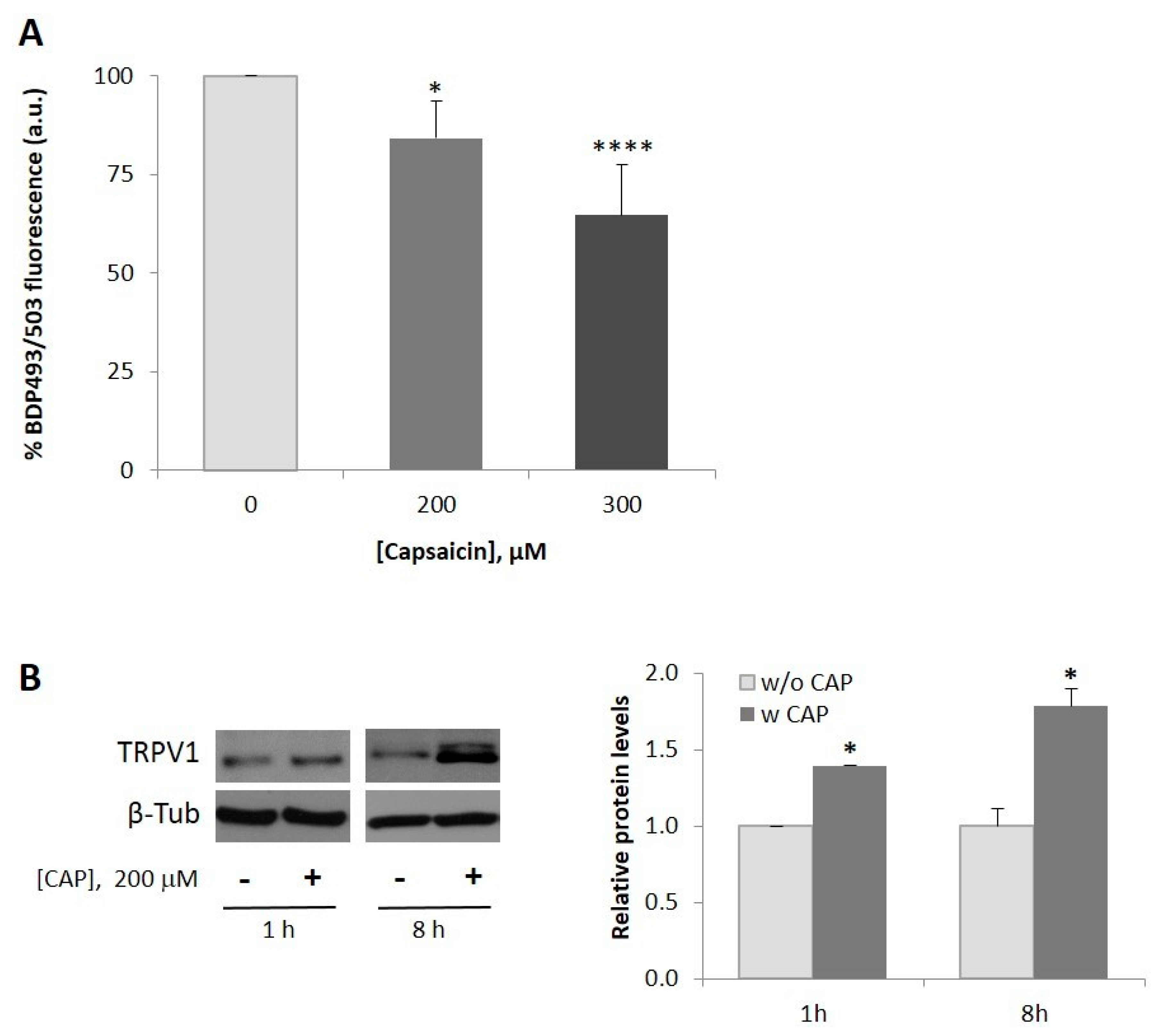 Ijms 20 01660 g001 Ijms 20 01660 g001