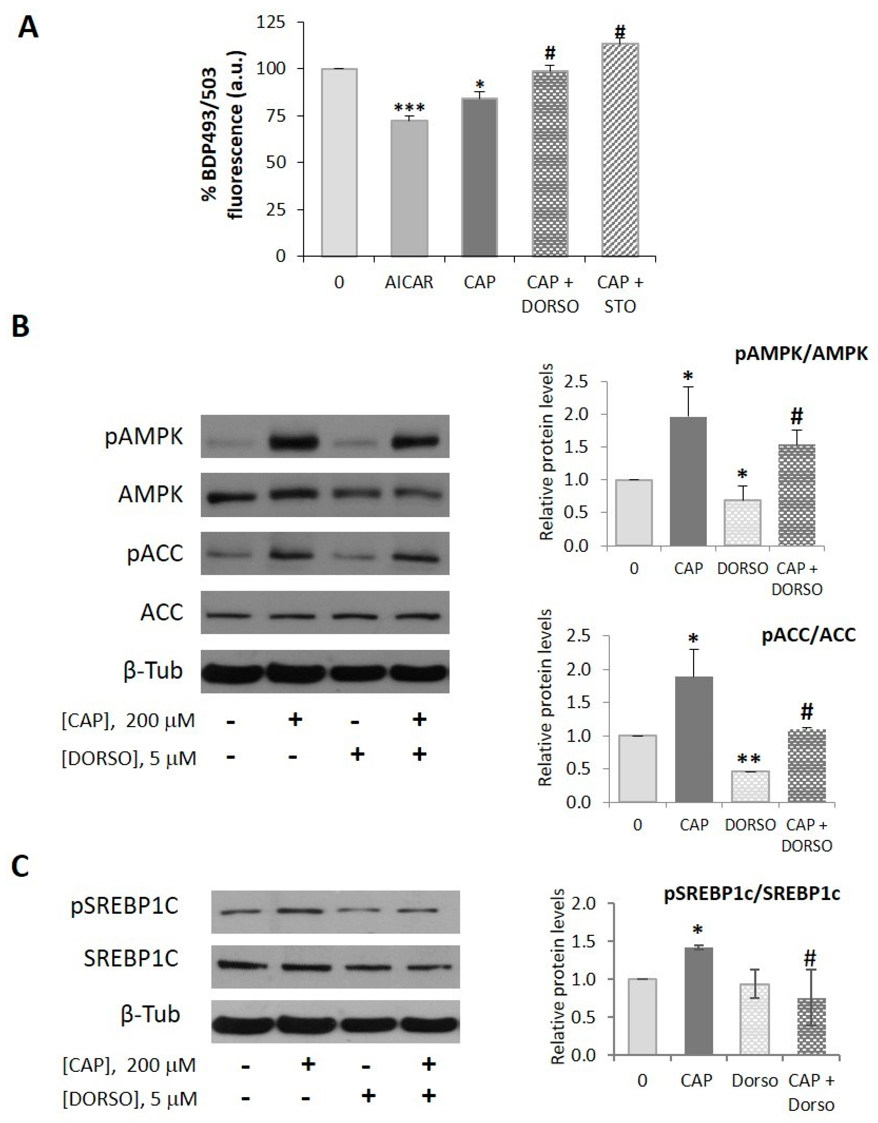 Ijms 20 01660 g002 Ijms 20 01660 g002