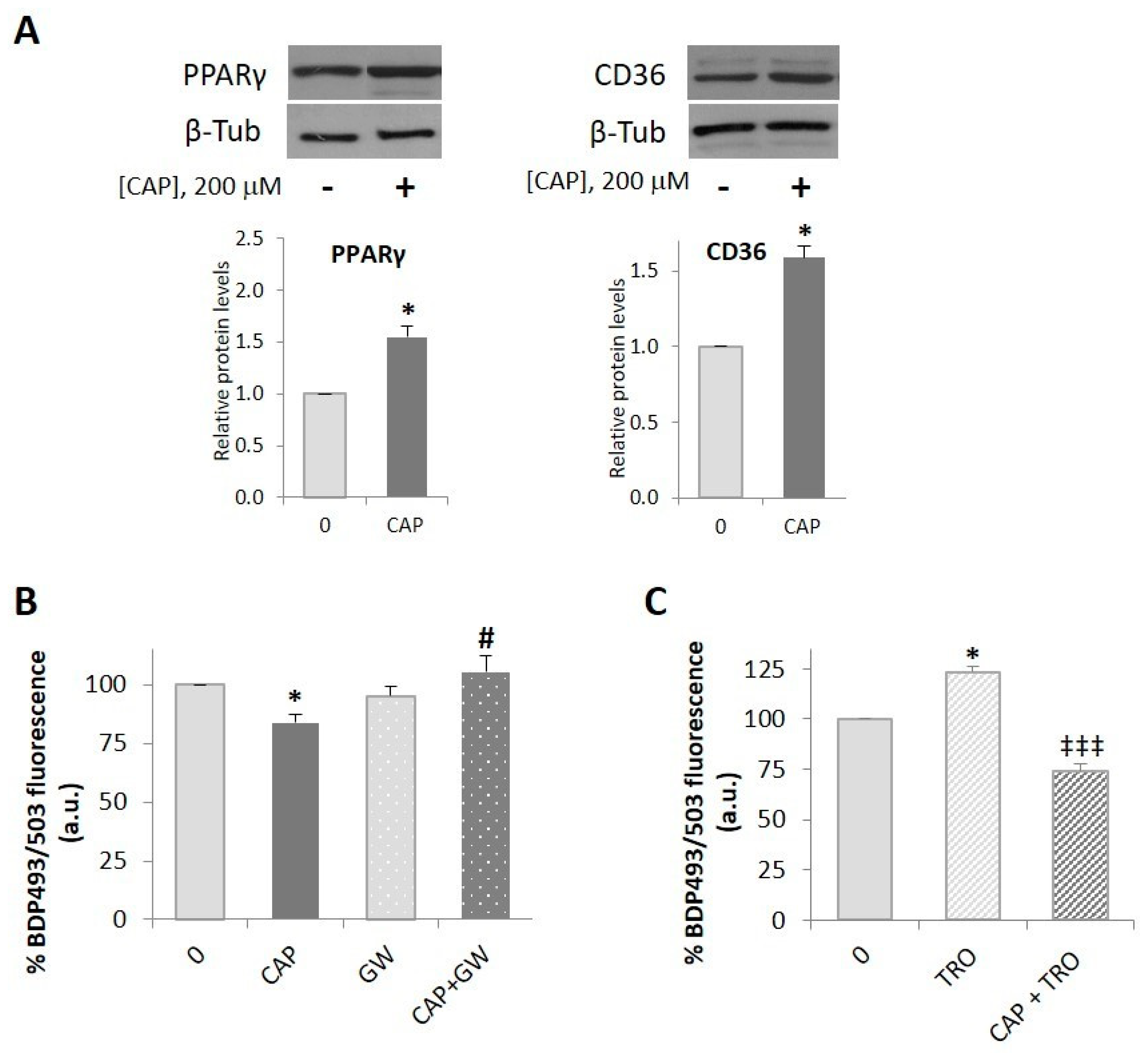 Ijms 20 01660 g003 Ijms 20 01660 g003