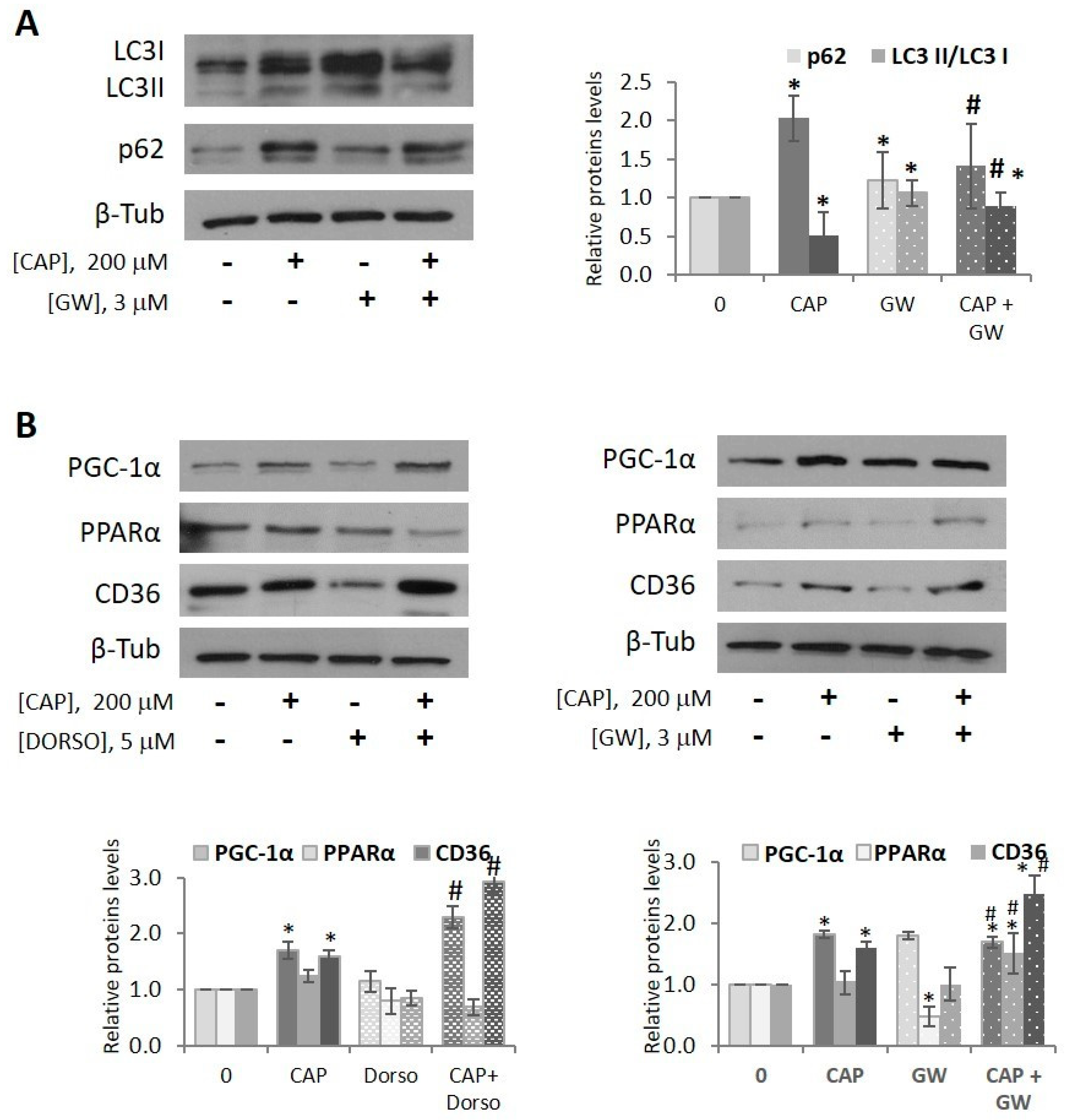 Ijms 20 01660 g004 Ijms 20 01660 g004